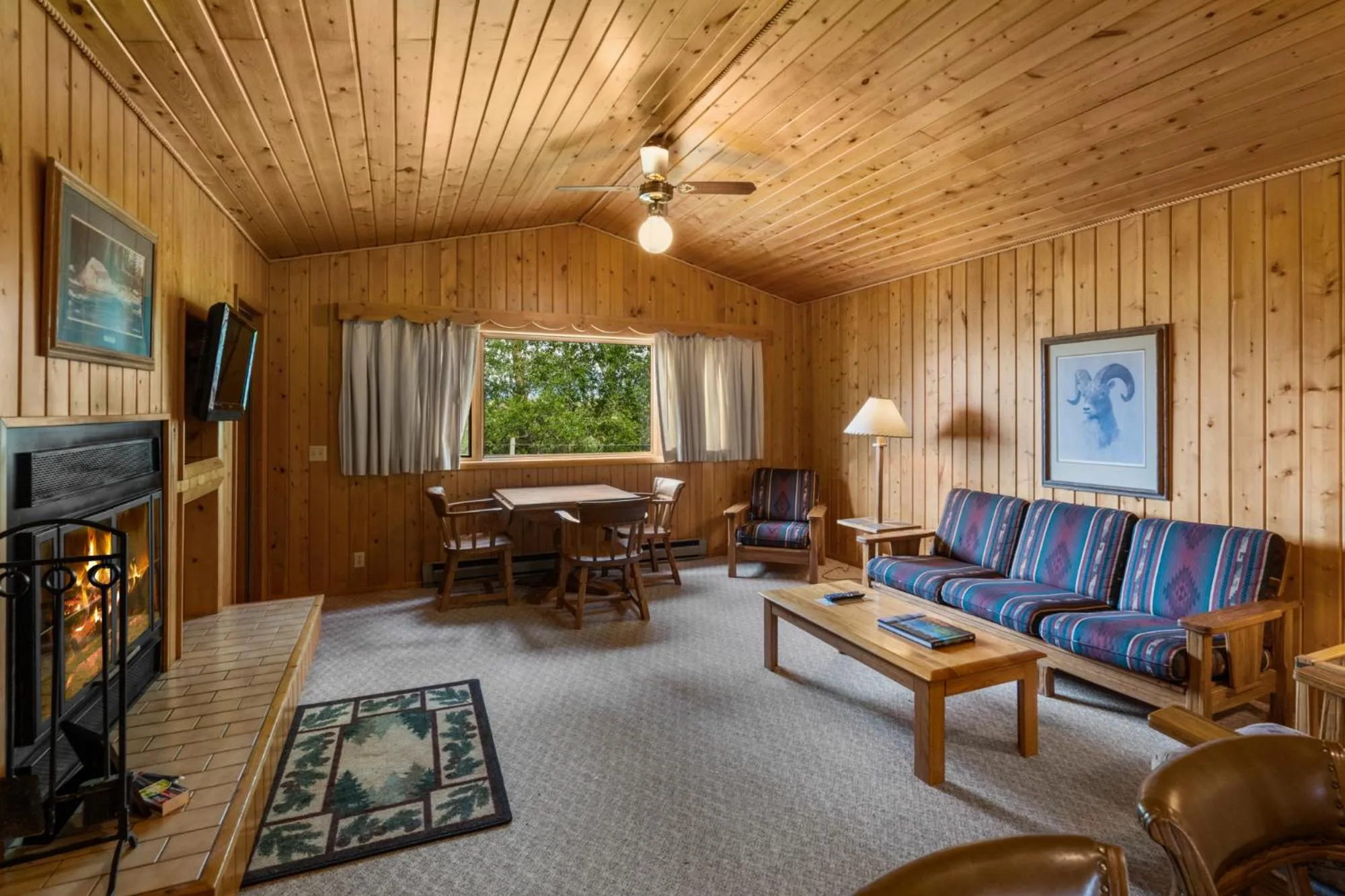 TV and multimedia in El Western Cabins & Lodges