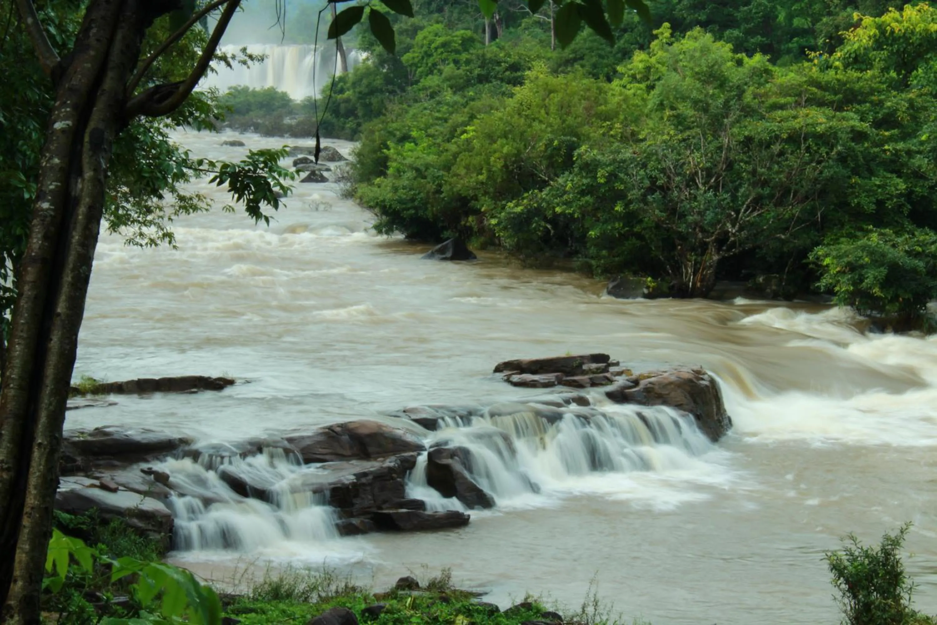 Restaurant/places to eat in Tadlo Lodge