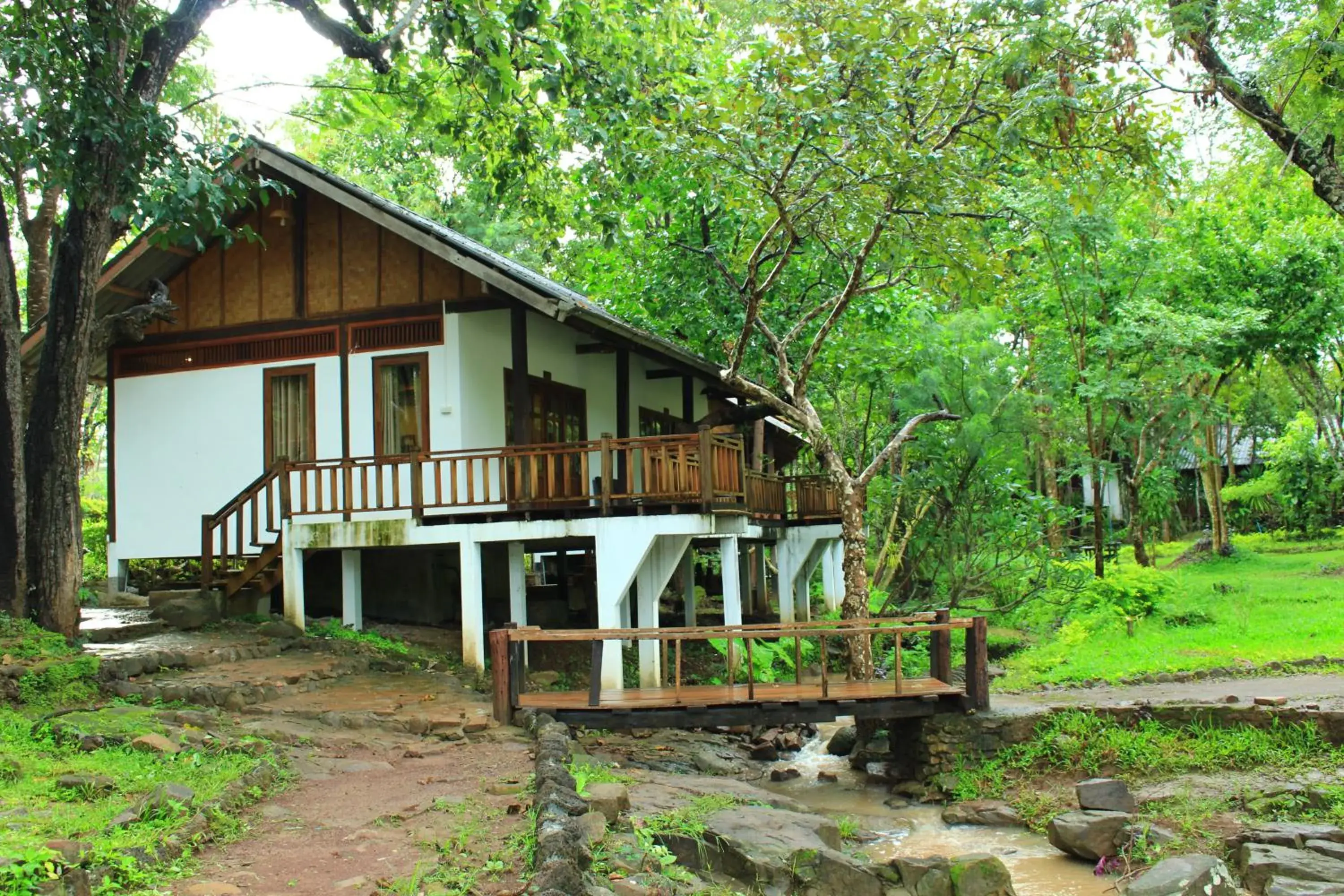 Standard Double Room - single occupancy in Tadlo Lodge Standard Double Room - single occupancy in Tadlo Lodge