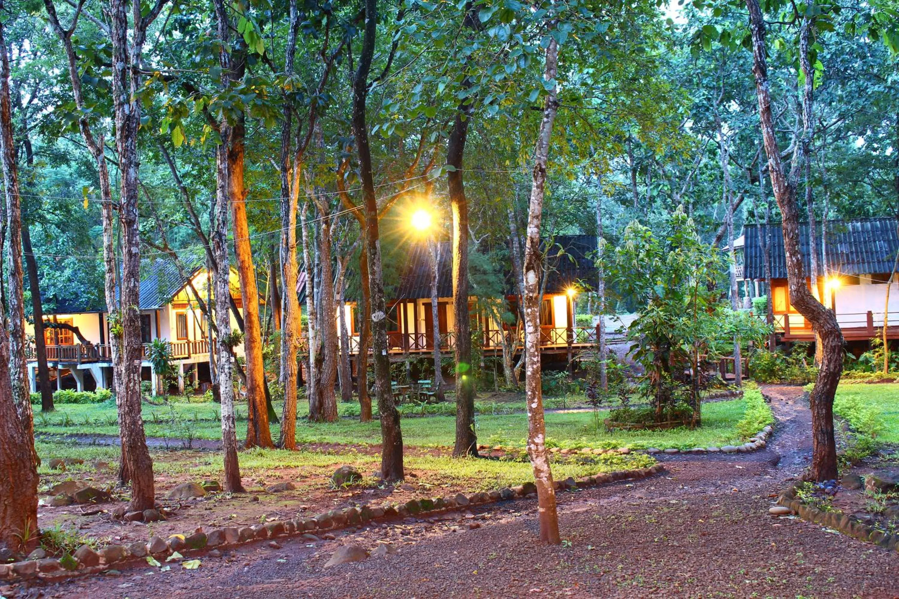 View (from property/room) in Tadlo Lodge