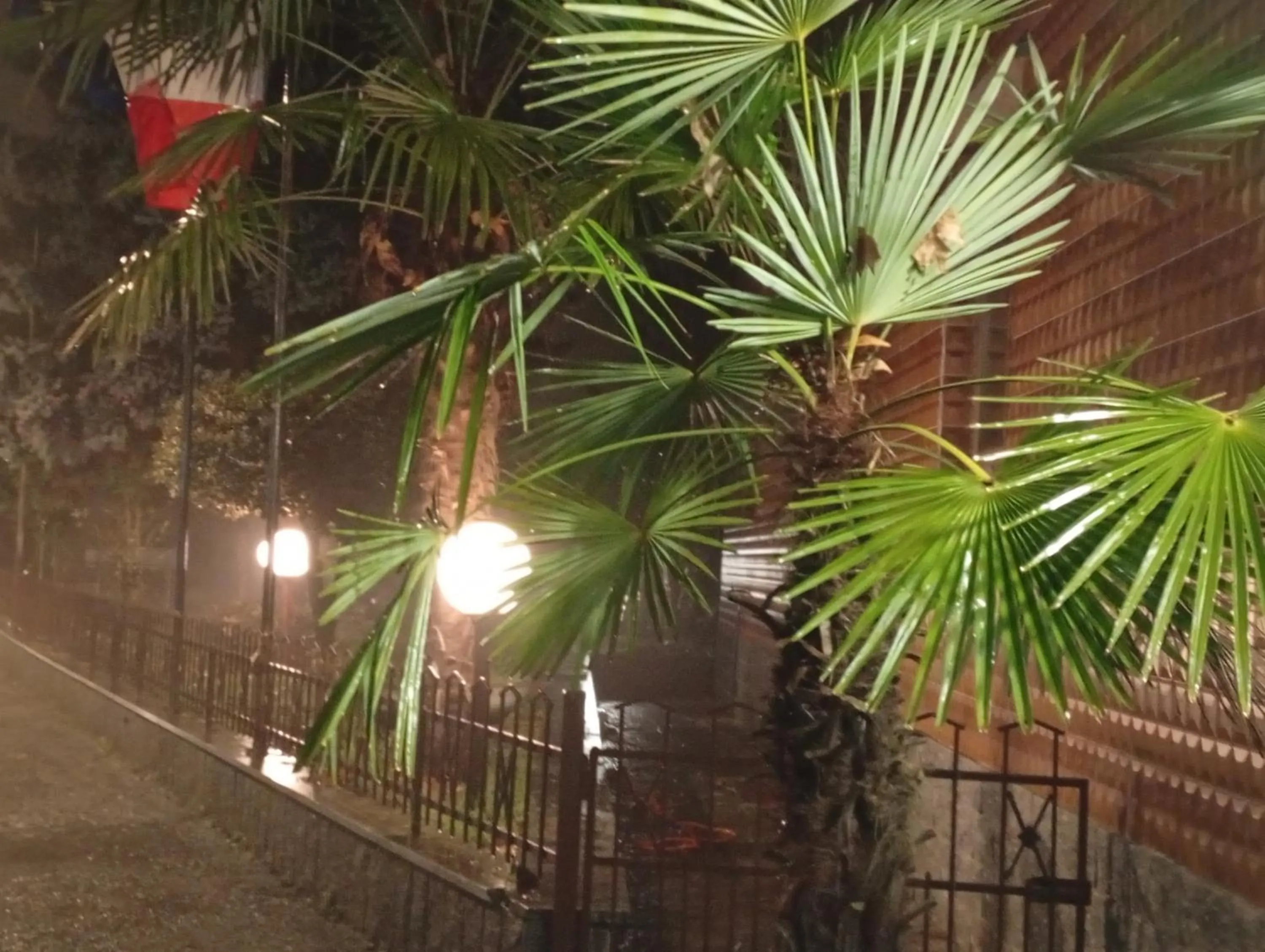 Property building in Hotel Elite