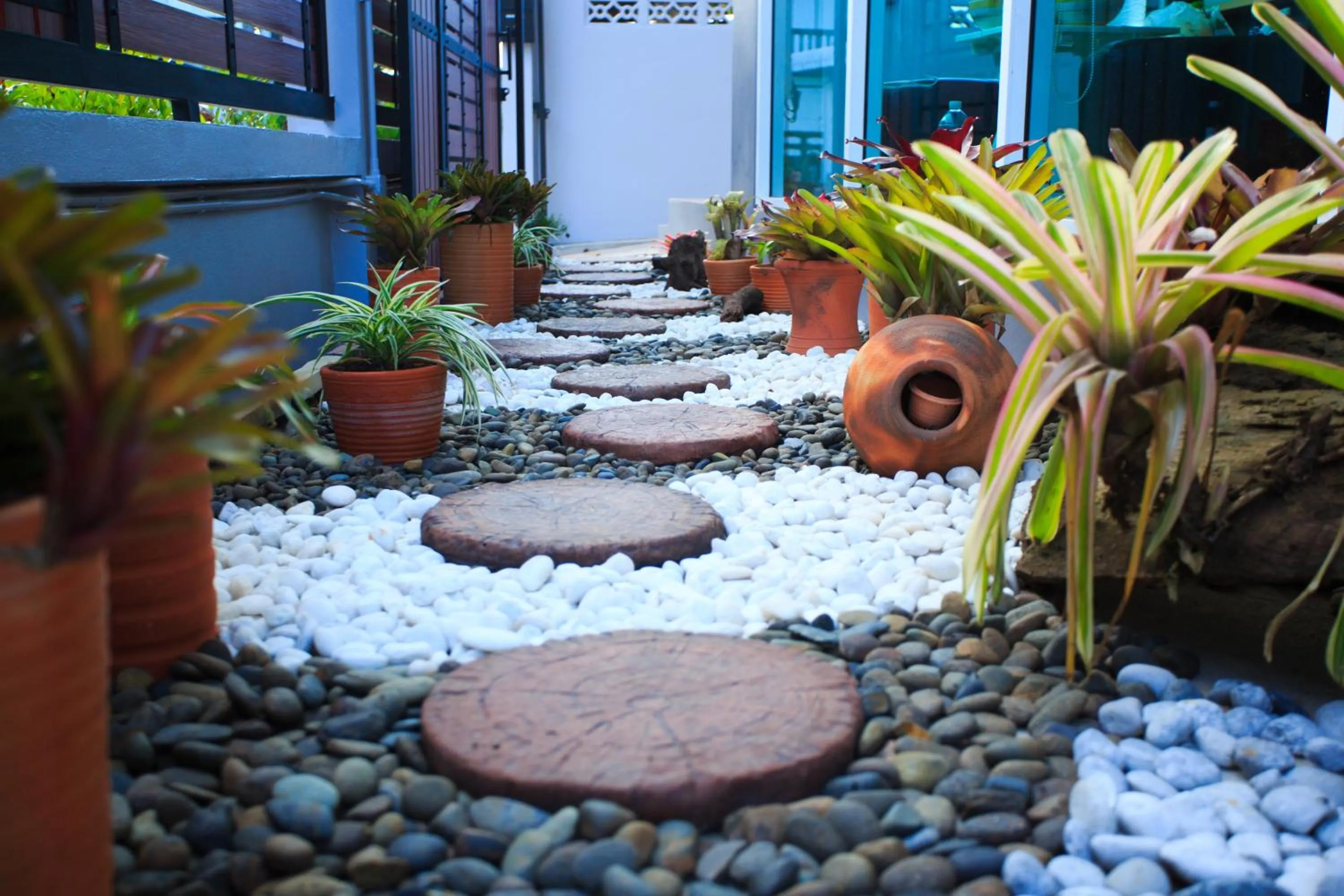 Garden view in Me Dream Residence