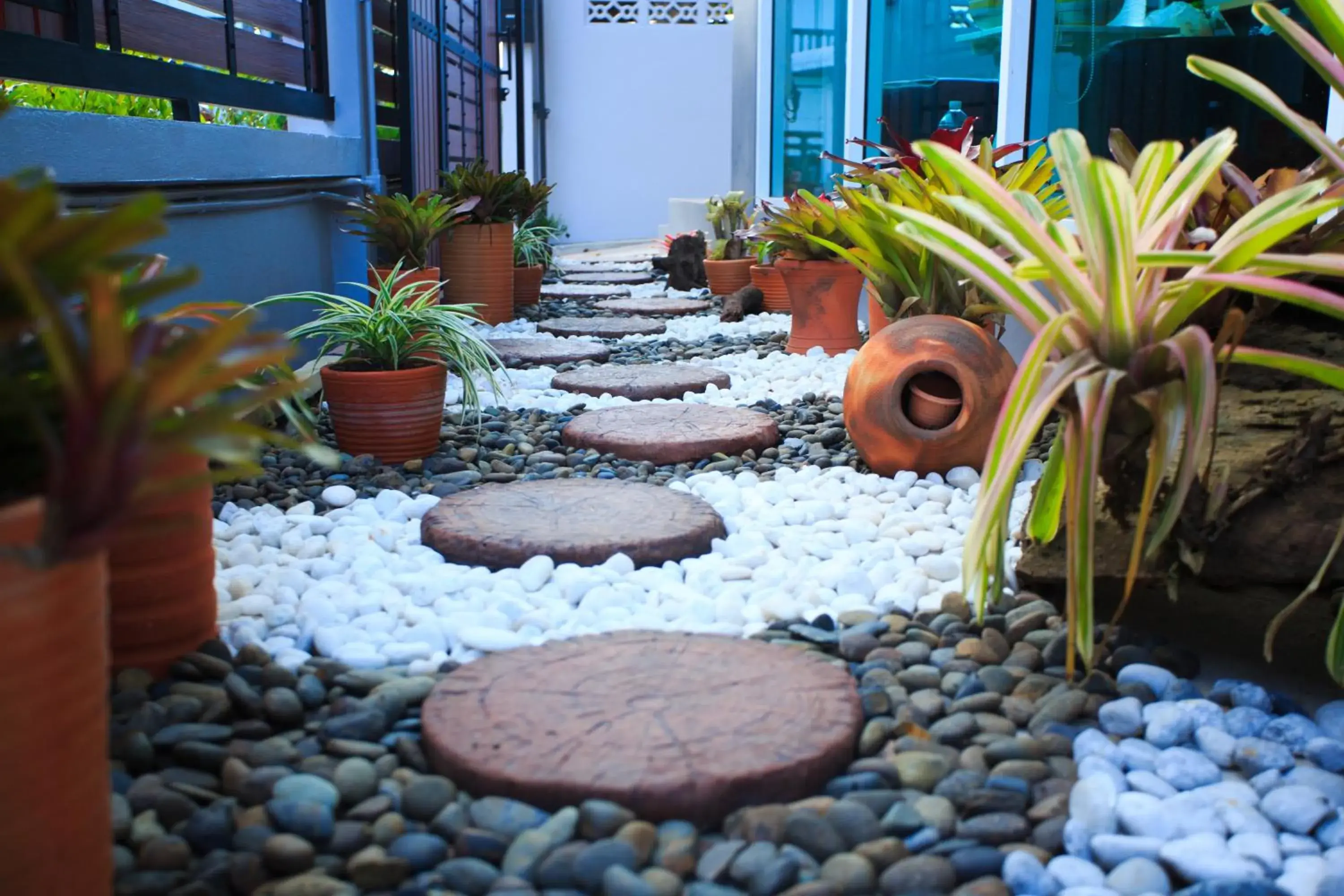 Garden view in Me Dream Residence Garden view in Me Dream Residence