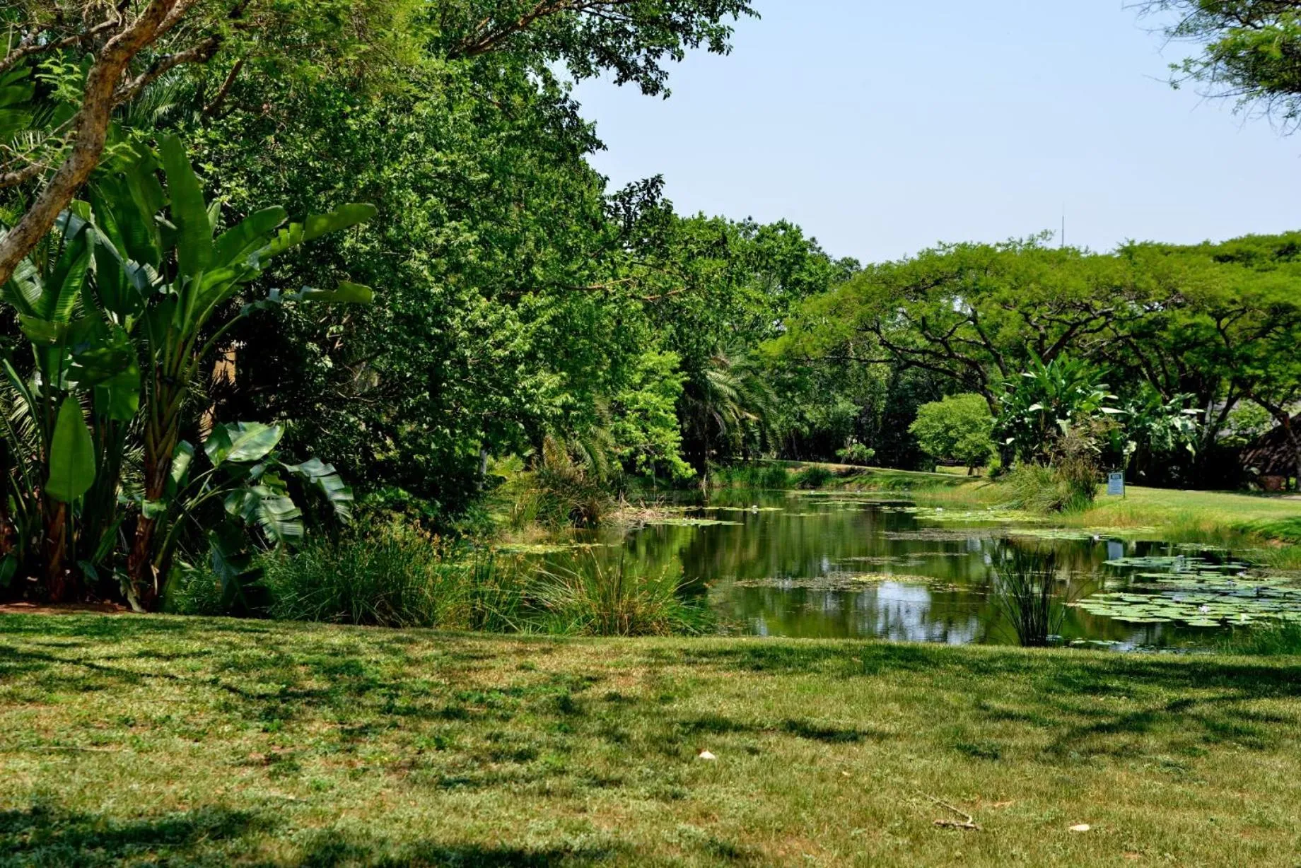 Natural landscape in Cambalala - Luxury Units - in Kruger Park Lodge - Serviced Daily, Free Wi-Fi