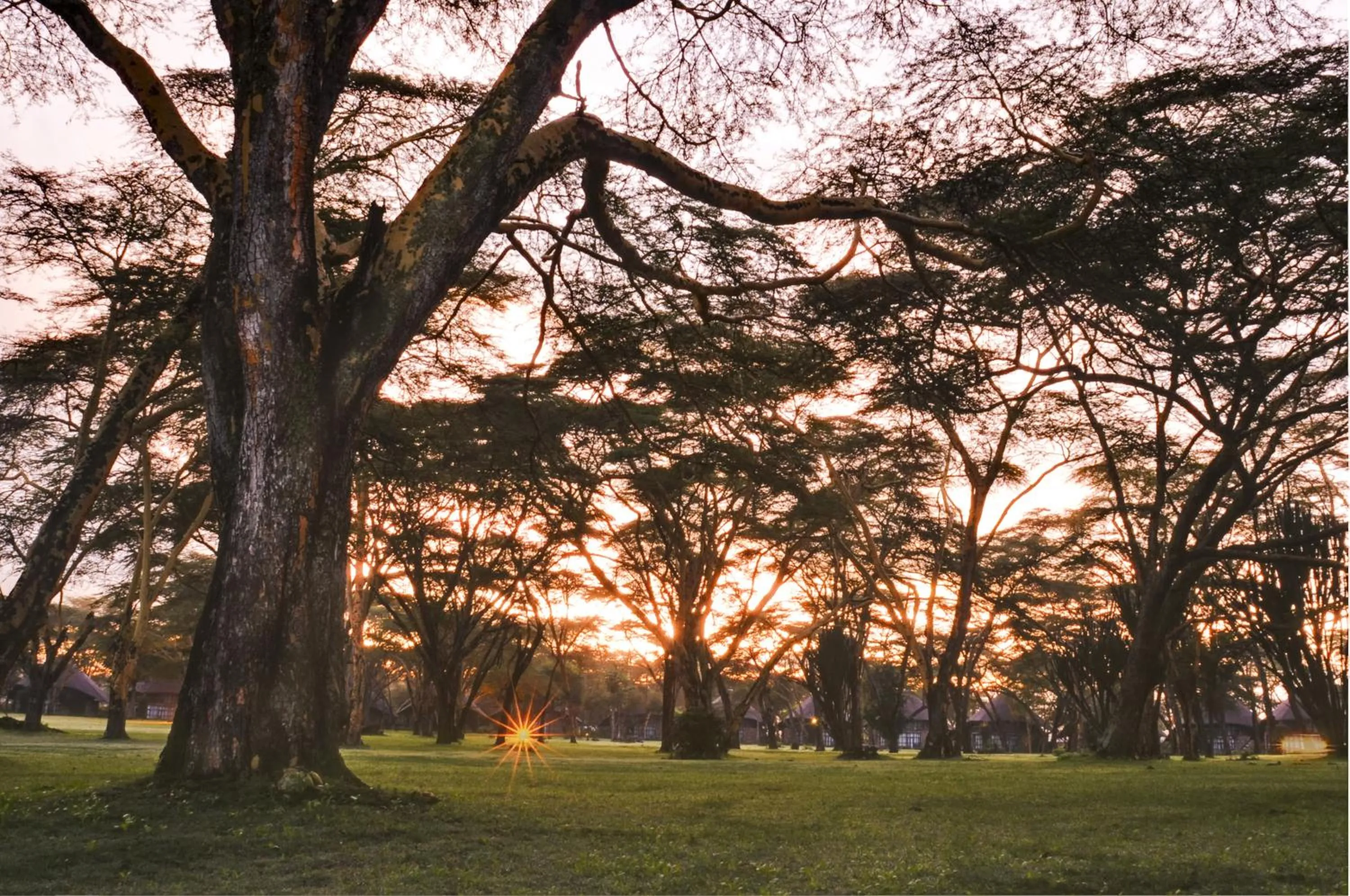 Garden view in Lake Naivasha Sopa Resort