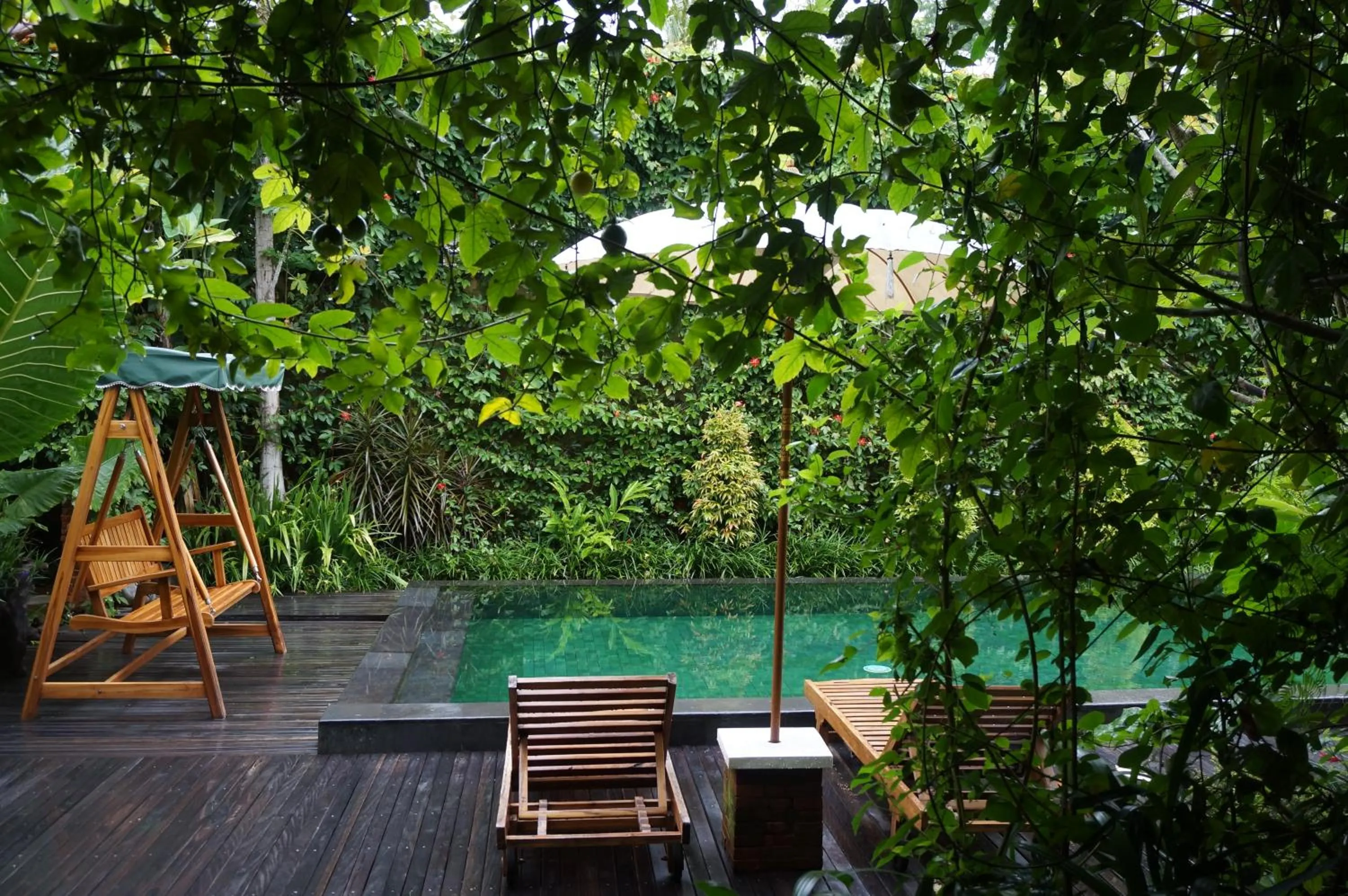 Natural landscape in Sapodilla Ubud