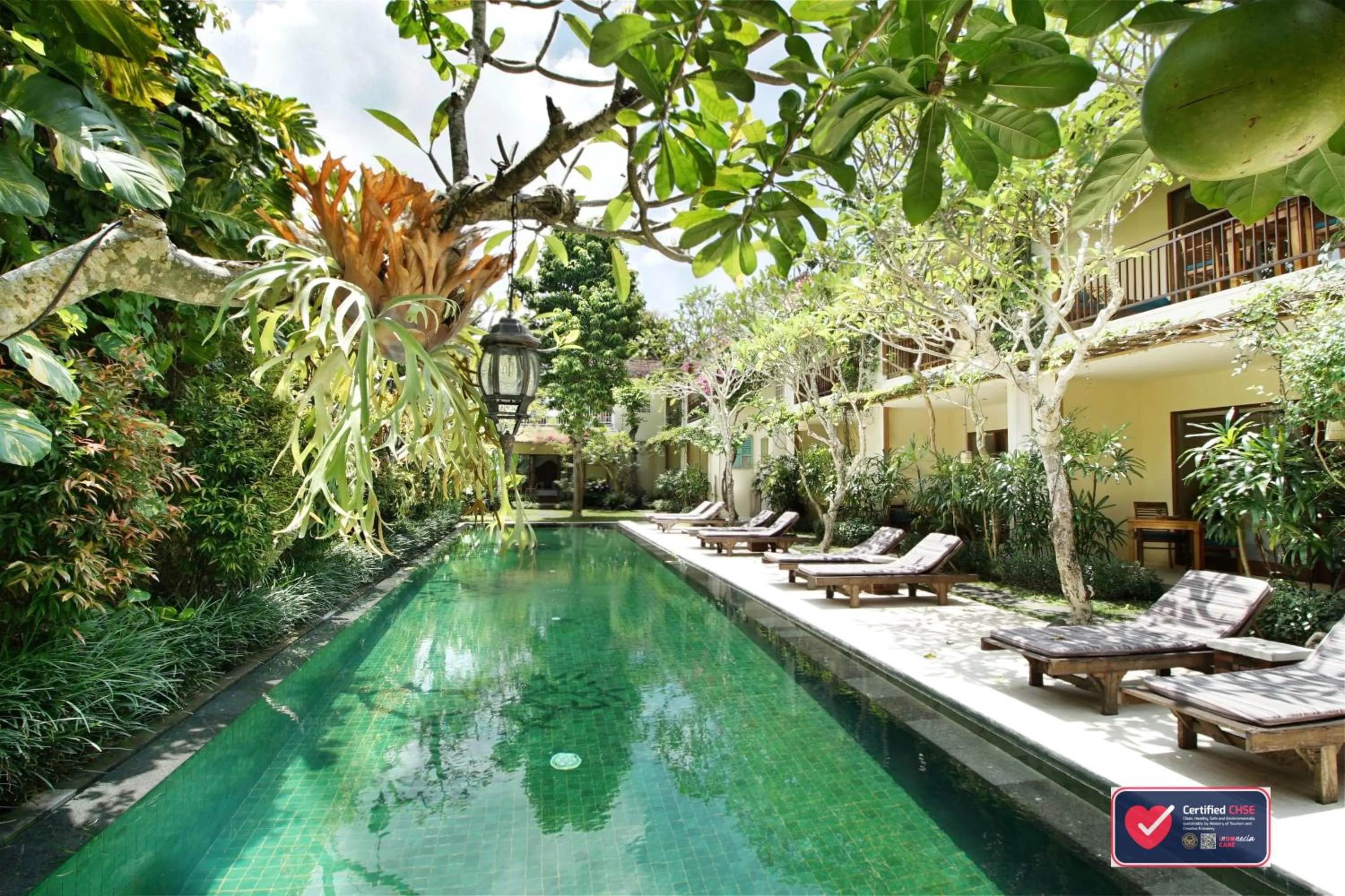 Swimming pool in Sapodilla Ubud