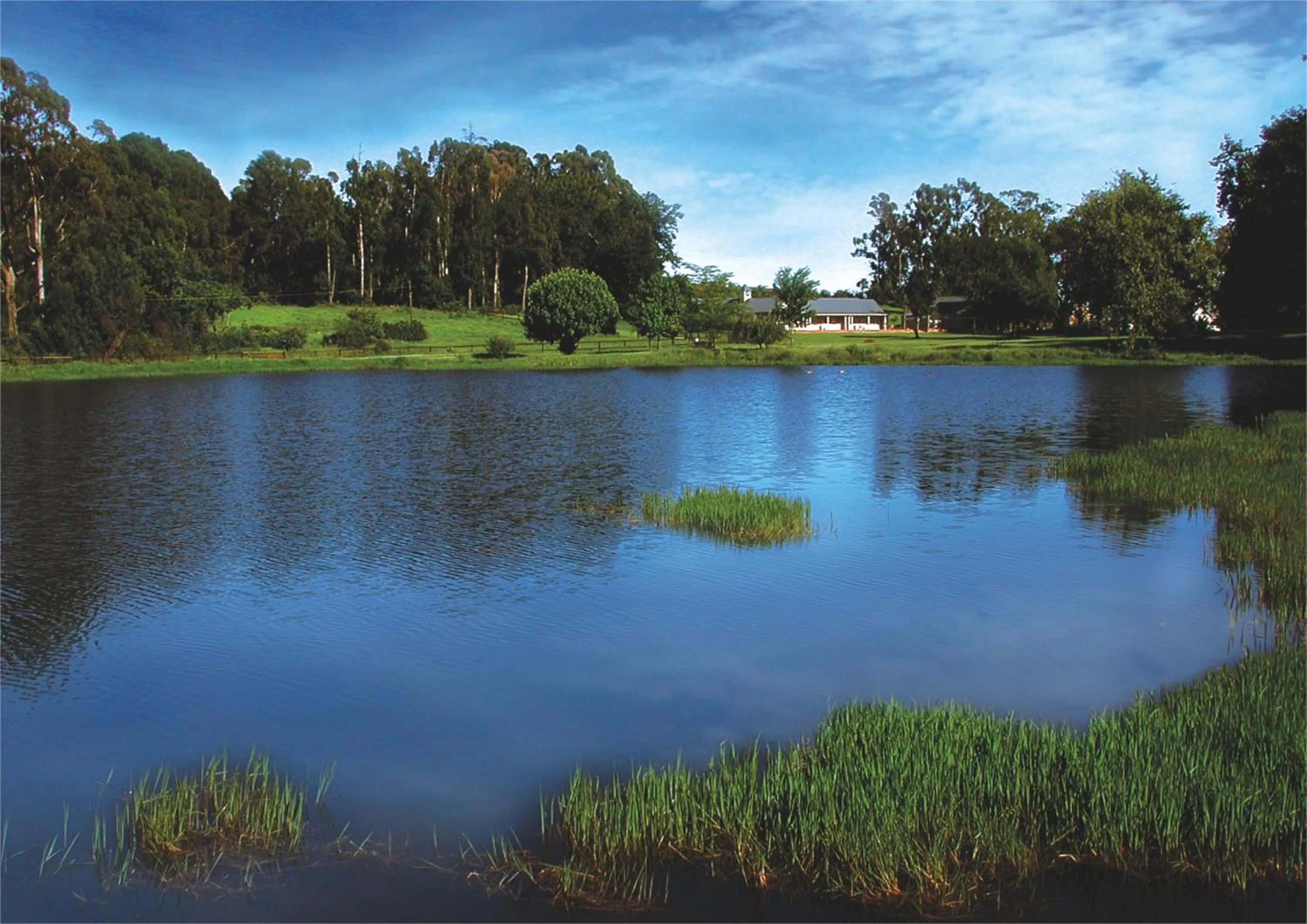 View (from property/room) in Fordoun Hotel and Spa