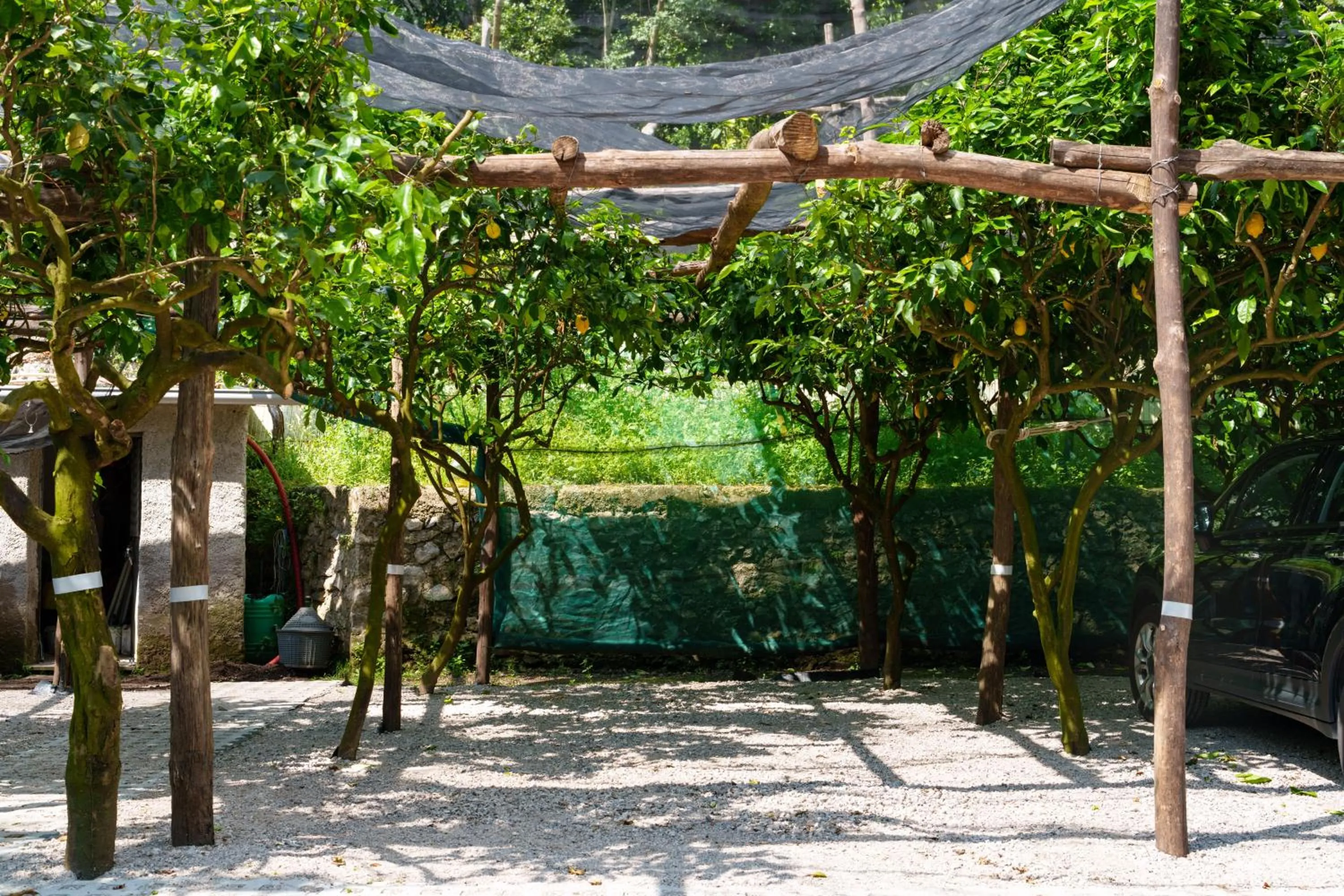 Spring in CVM Montagnella Relax