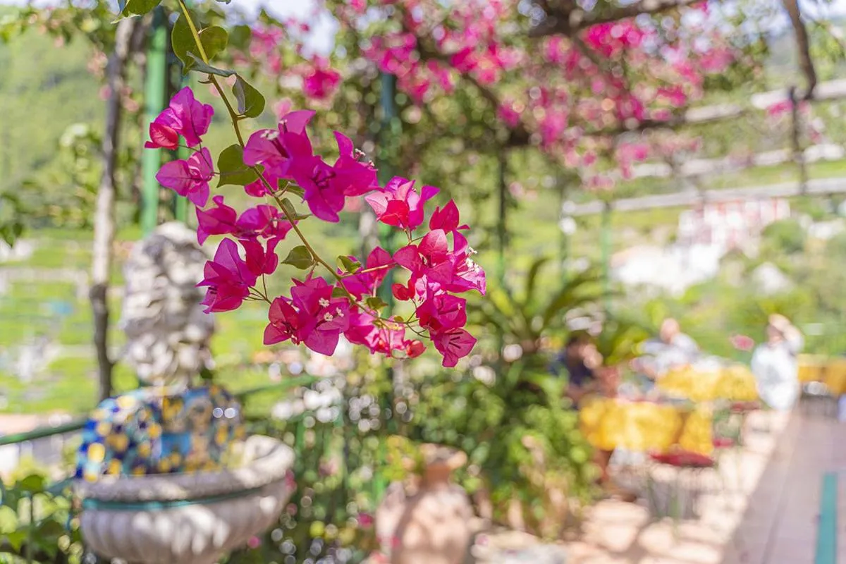 Spring in CVM Montagnella Relax