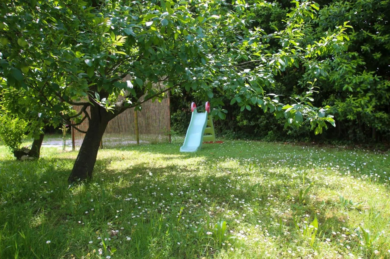 Garden in Pietra E Glicine B&B