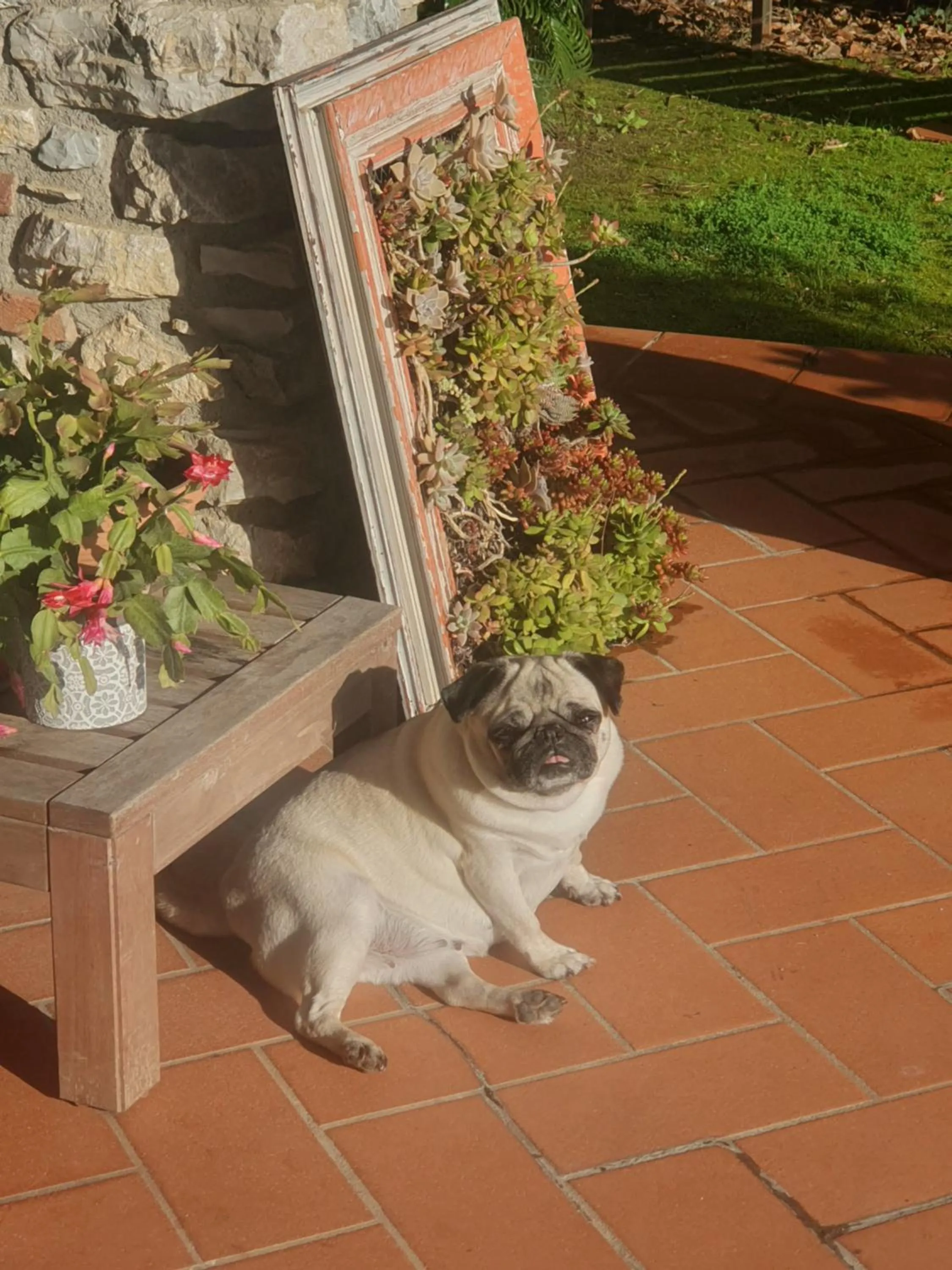 Day in Pietra E Glicine B&B