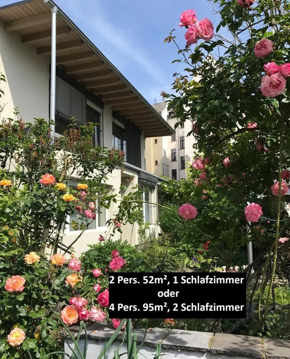 Stadtoase Koblenz Stadtoase Koblenz