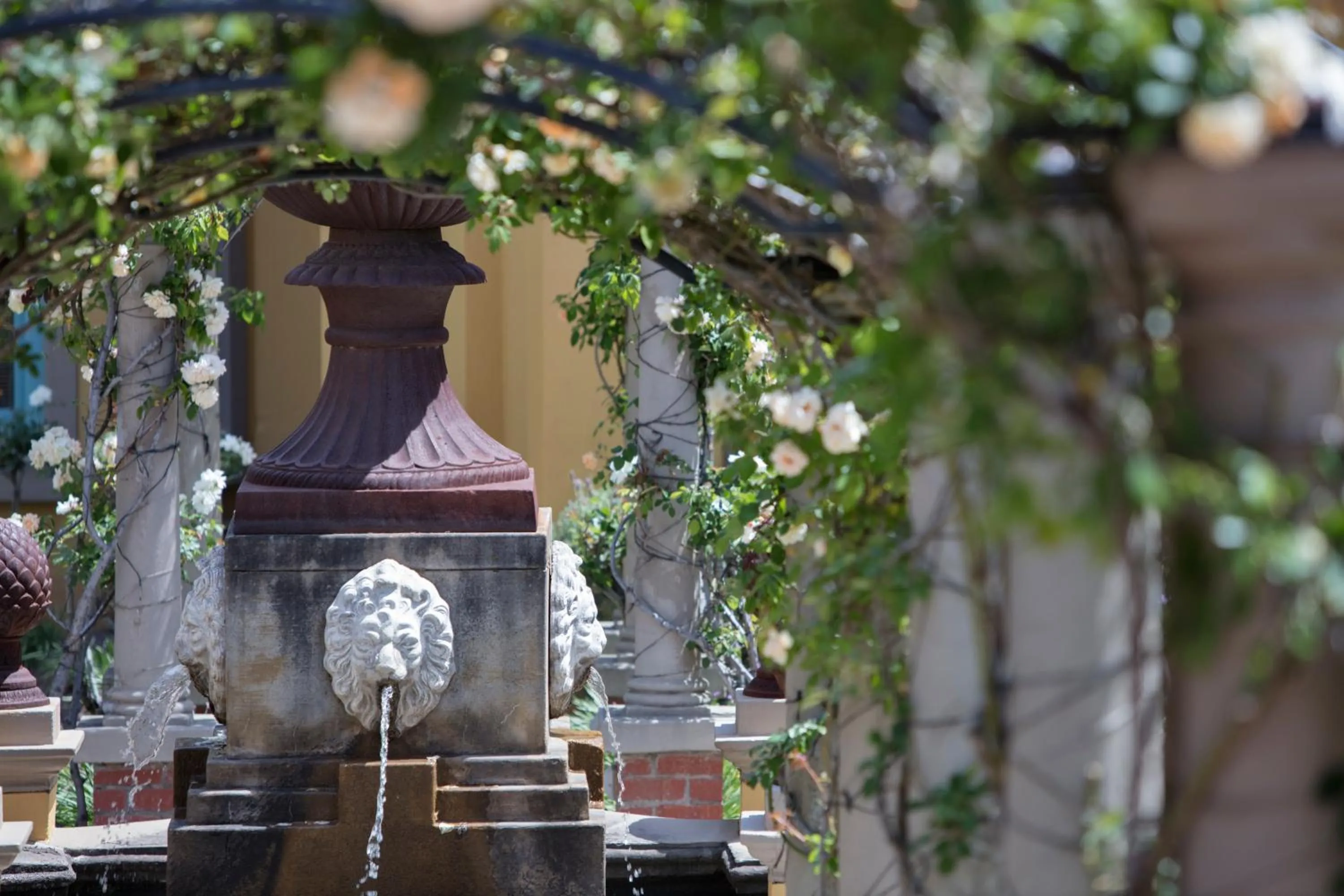 Garden in Franschhoek Country House & Villas