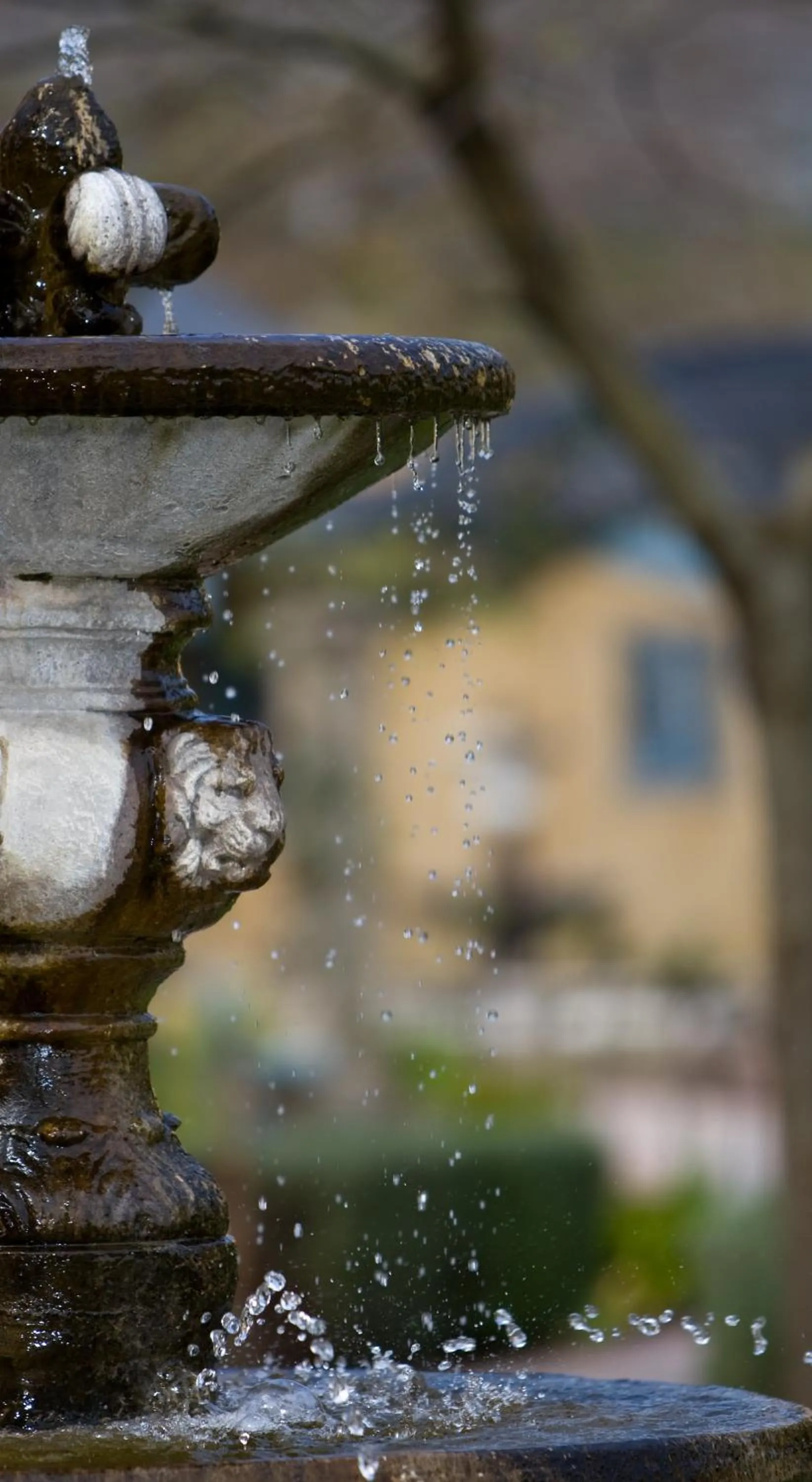 Garden in Franschhoek Country House & Villas