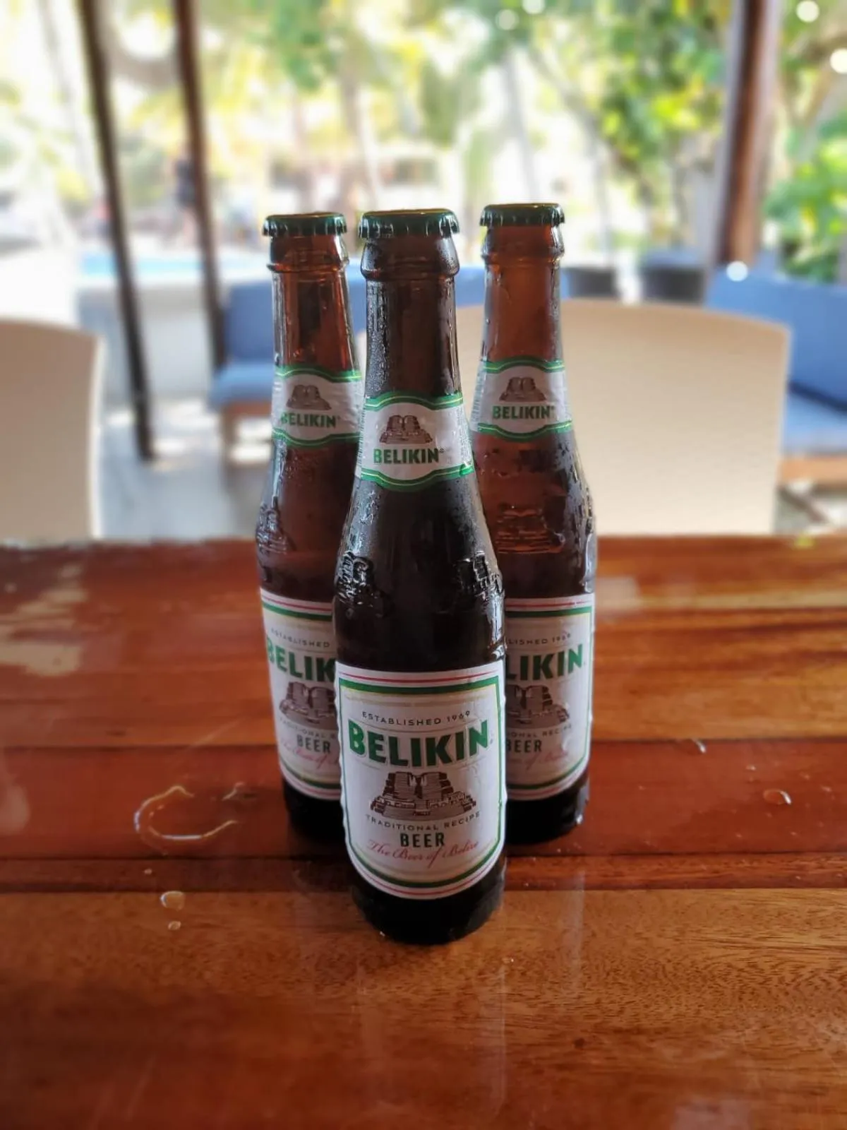 Lounge or bar in Maya Beach Hotel