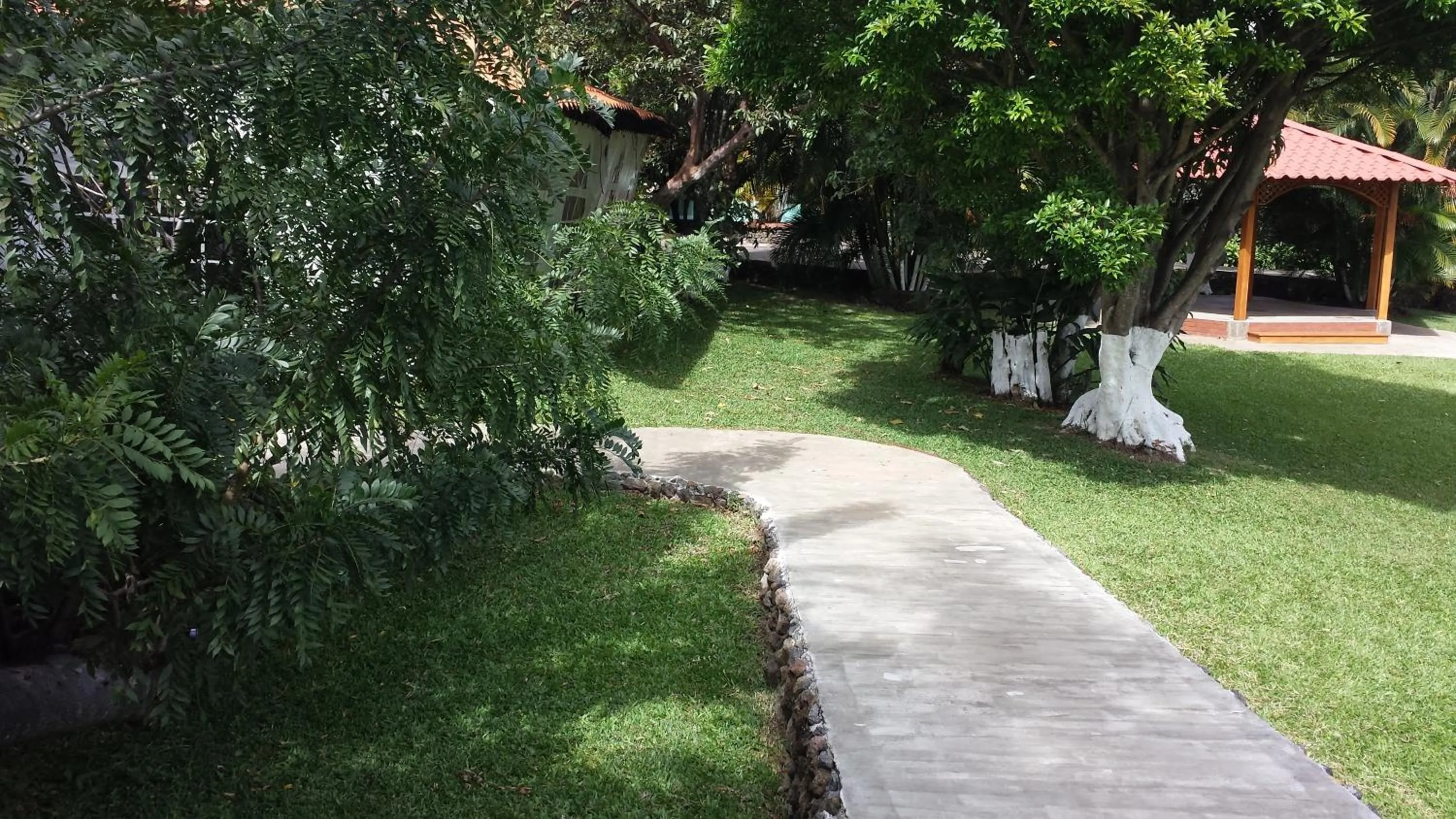 Garden in Hotel Cibeles Resort