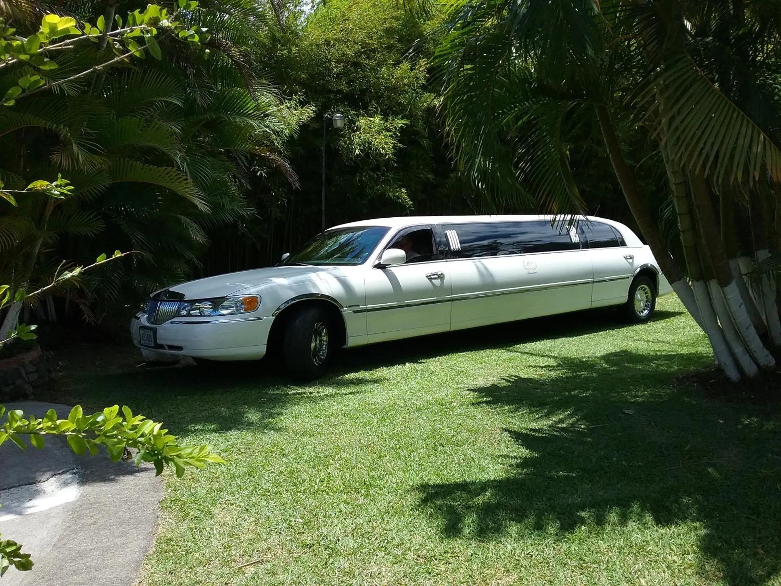 Garden in Hotel Cibeles Resort