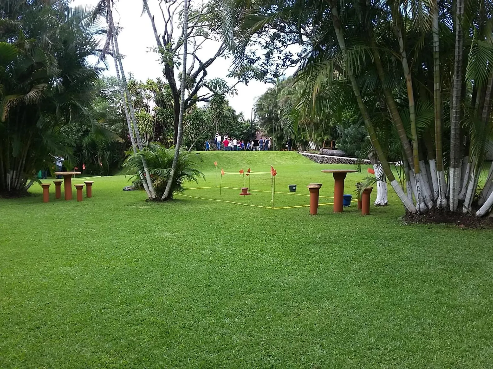 Garden in Hotel Cibeles Resort