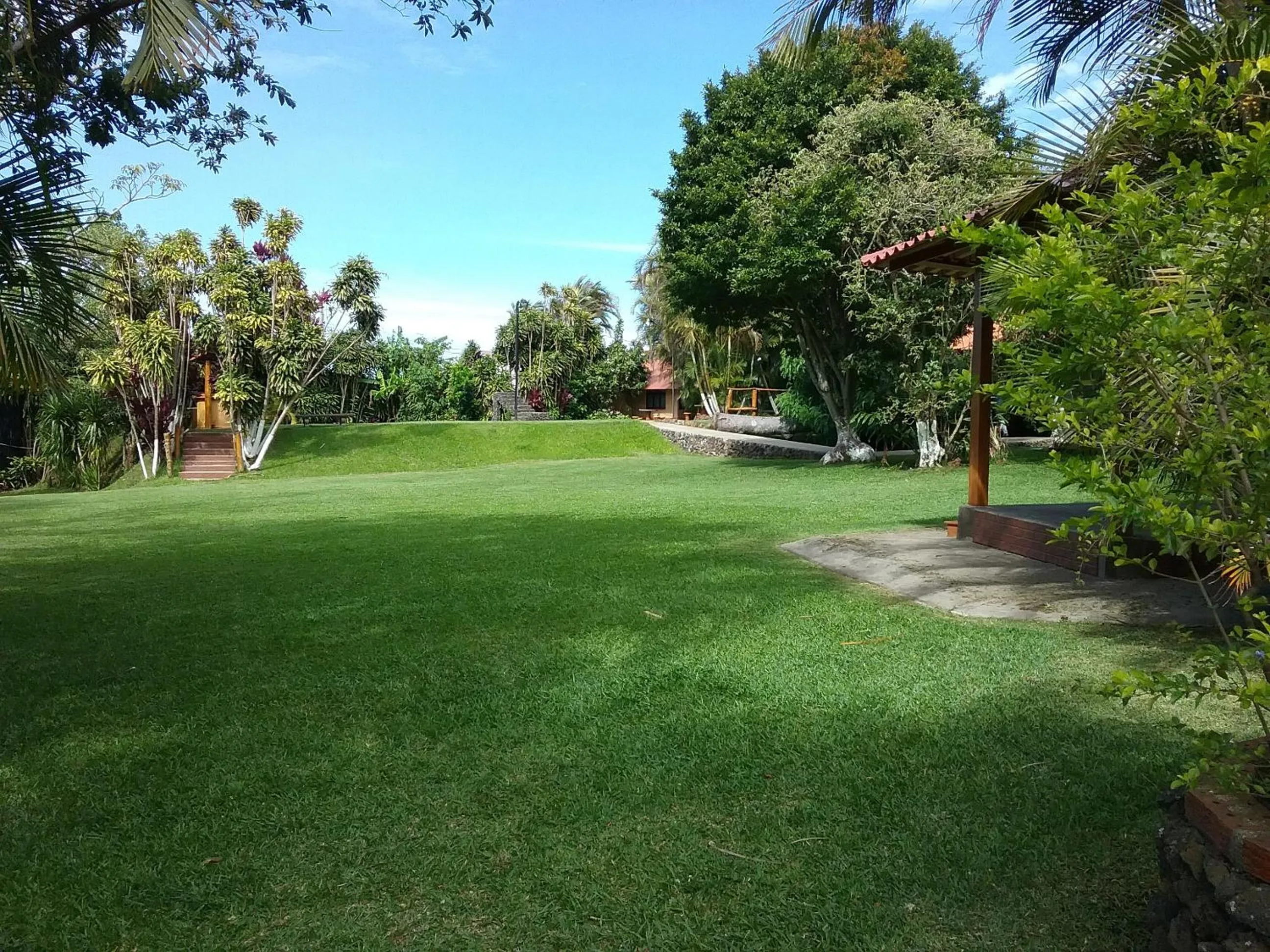 Garden in Hotel Cibeles Resort