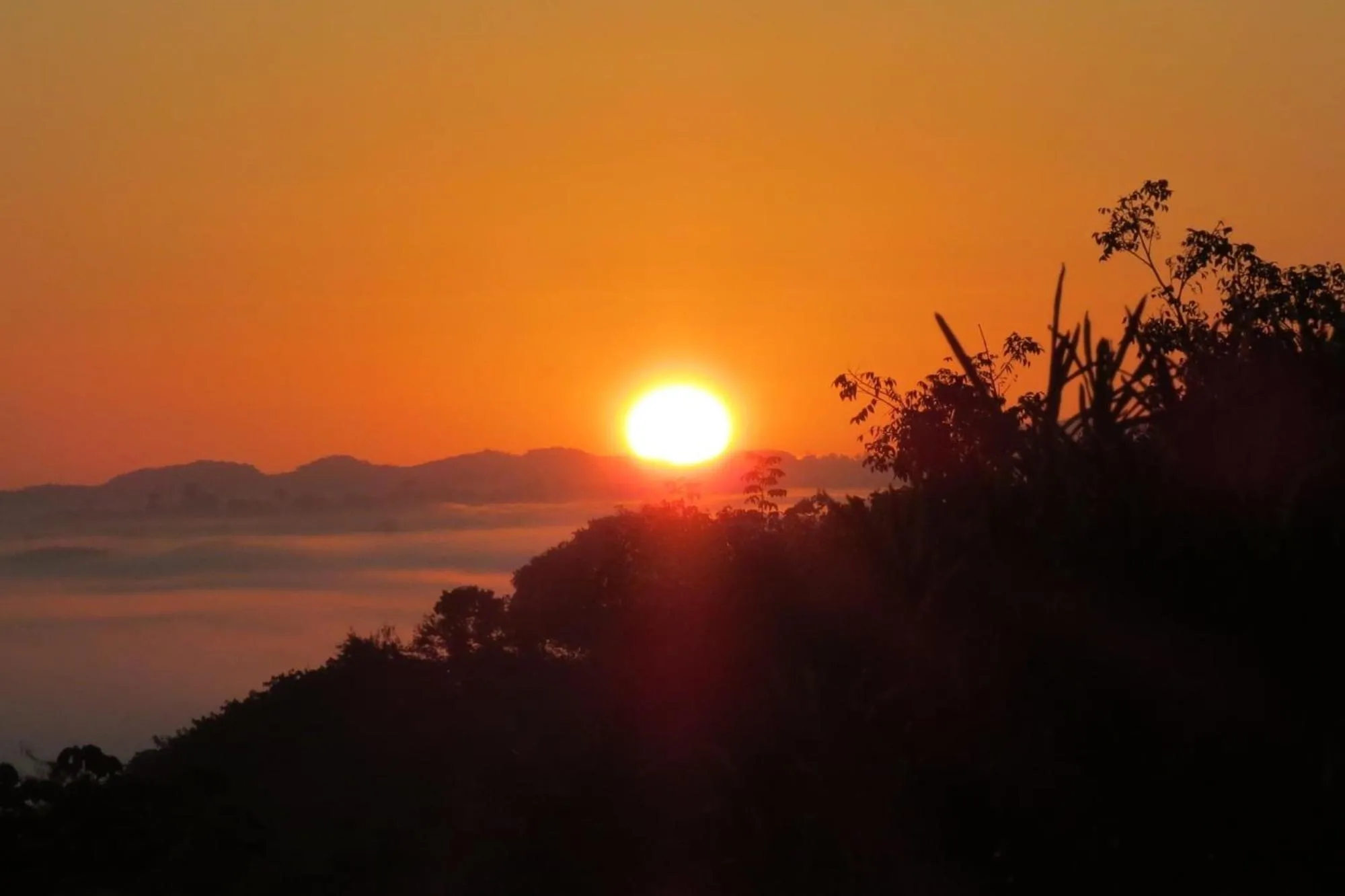 View (from property/room) in Gumbo Limbo Jungle Resort