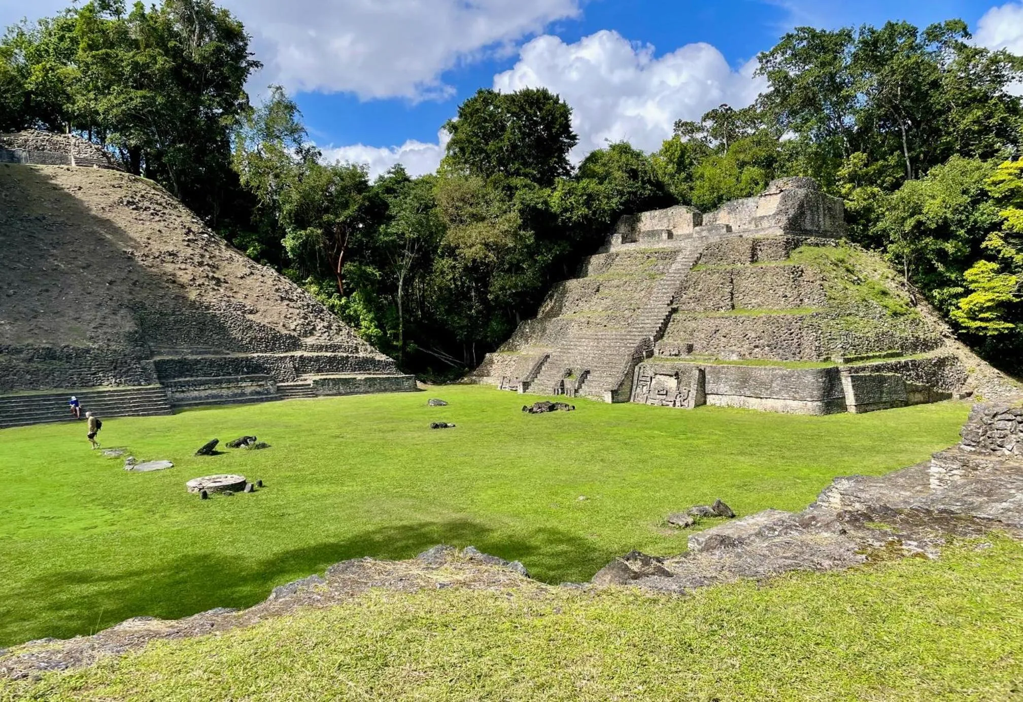 Nearby landmark in Gumbo Limbo Jungle Resort
