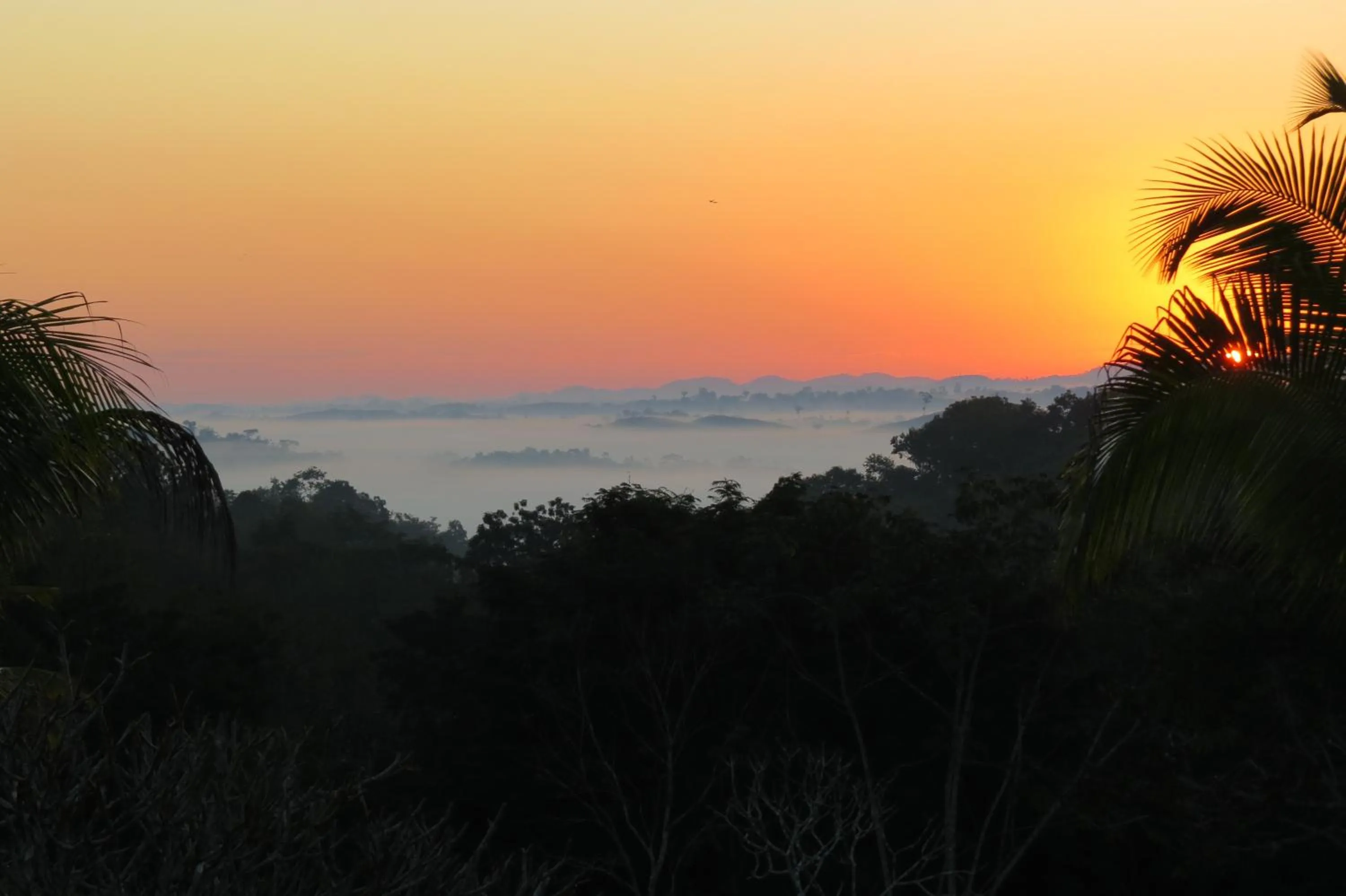 Mountain view in Gumbo Limbo Jungle Resort