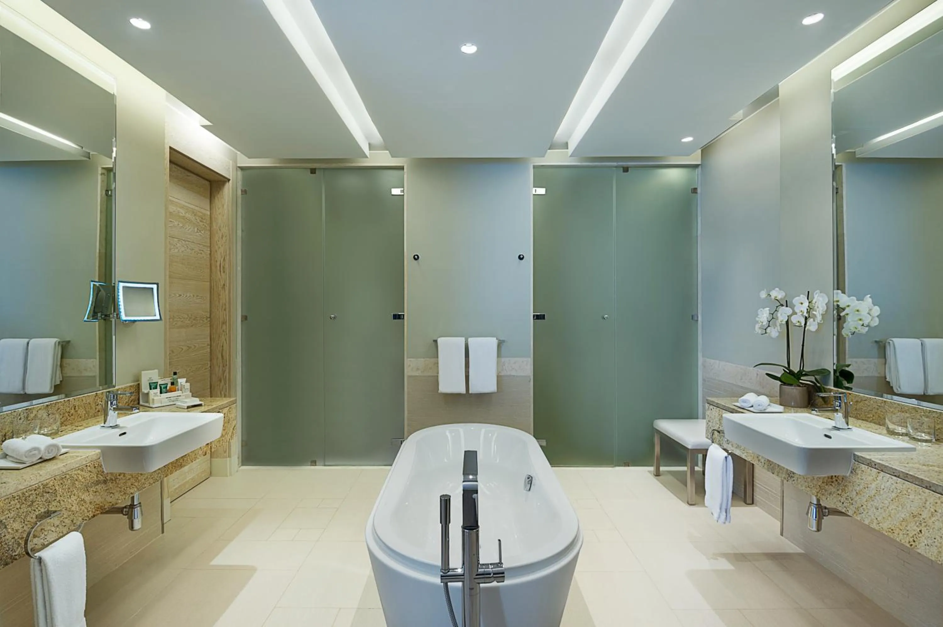 Bathroom in Hilton Dead Sea Resort & Spa