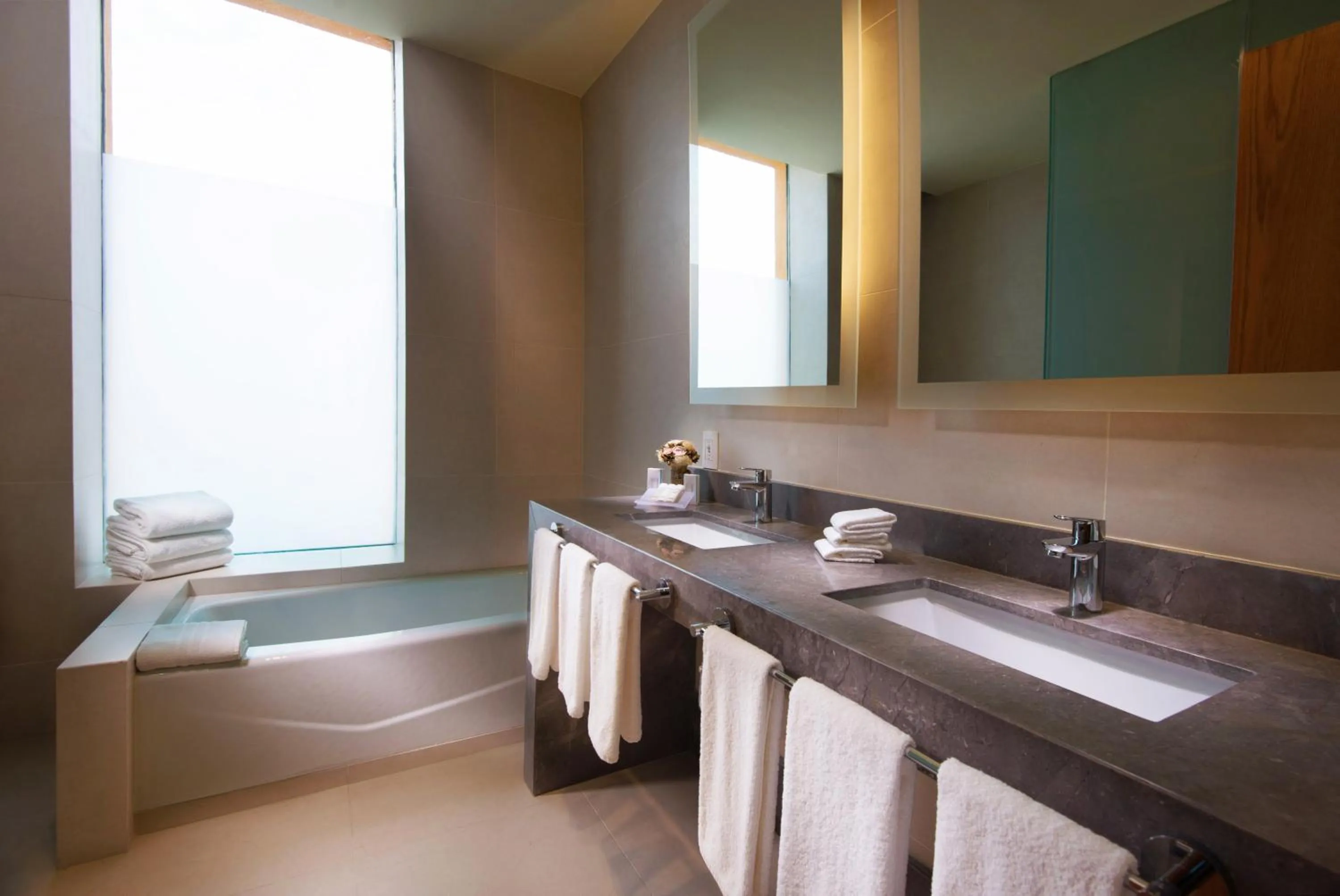 Bathroom in Hilton Garden Inn Monterrey Airport