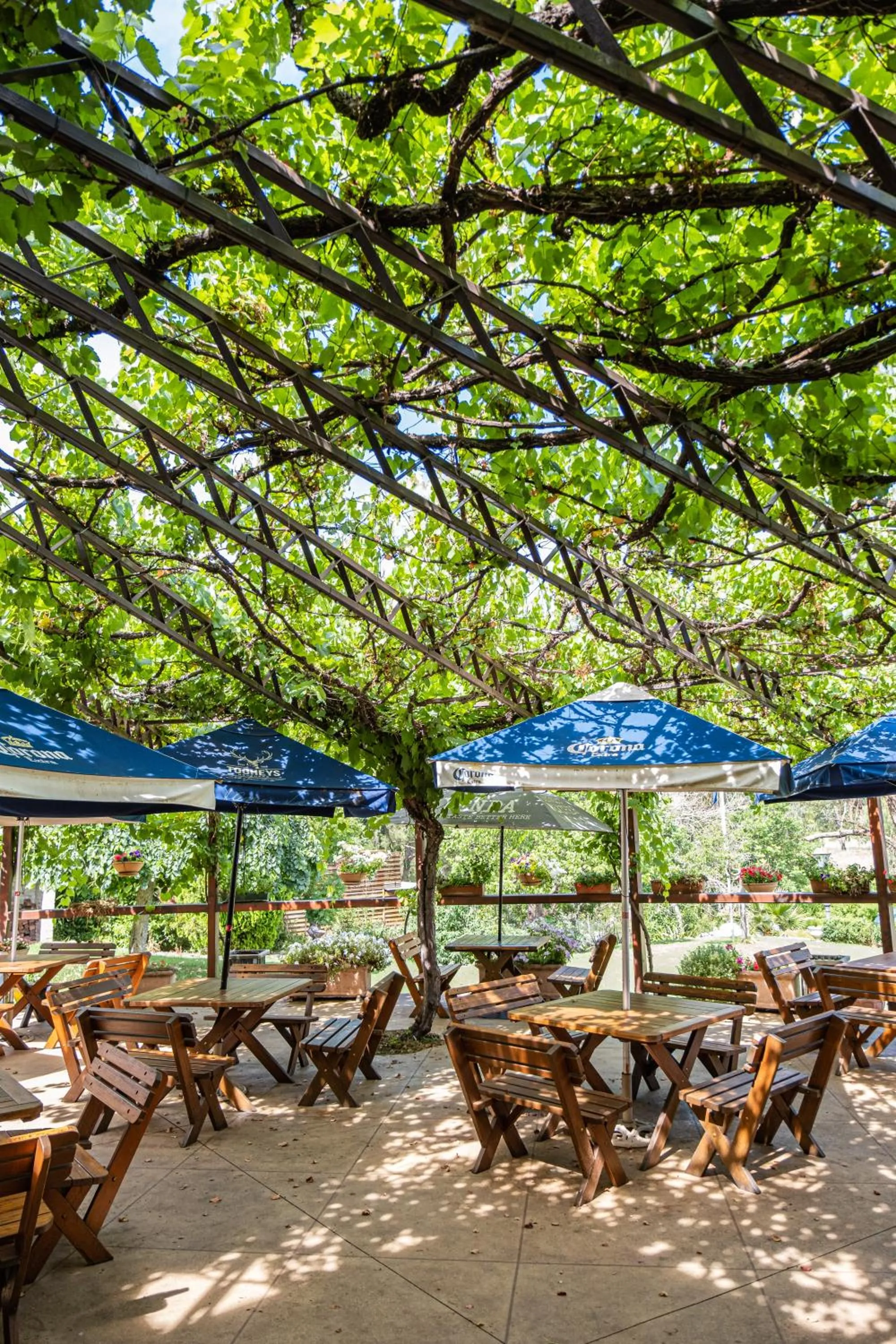 Restaurant/places to eat in Peel Inn Hotel Nundle