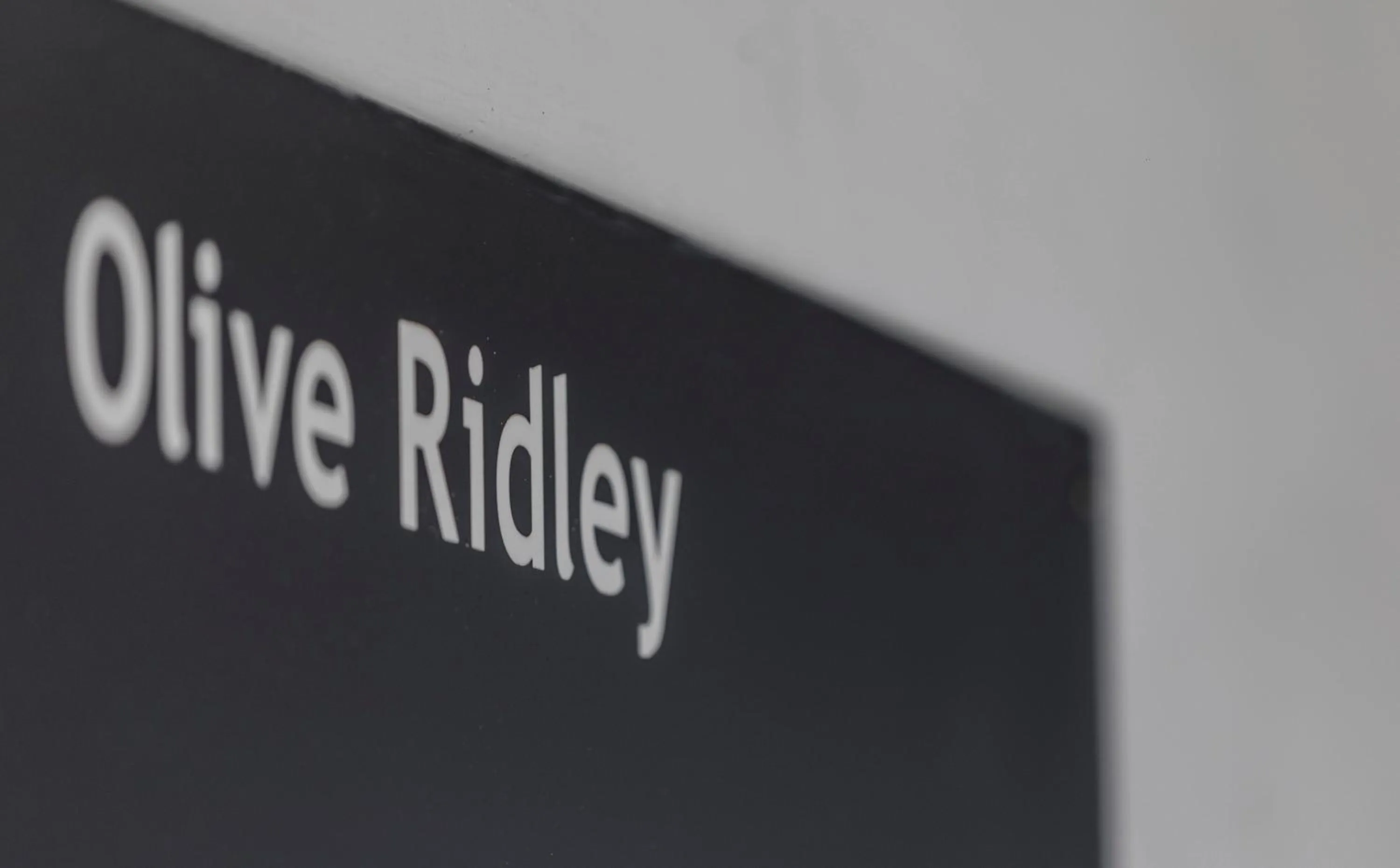 Text overlay in The Frangipani Tree by Edwards Collection - Thalpe