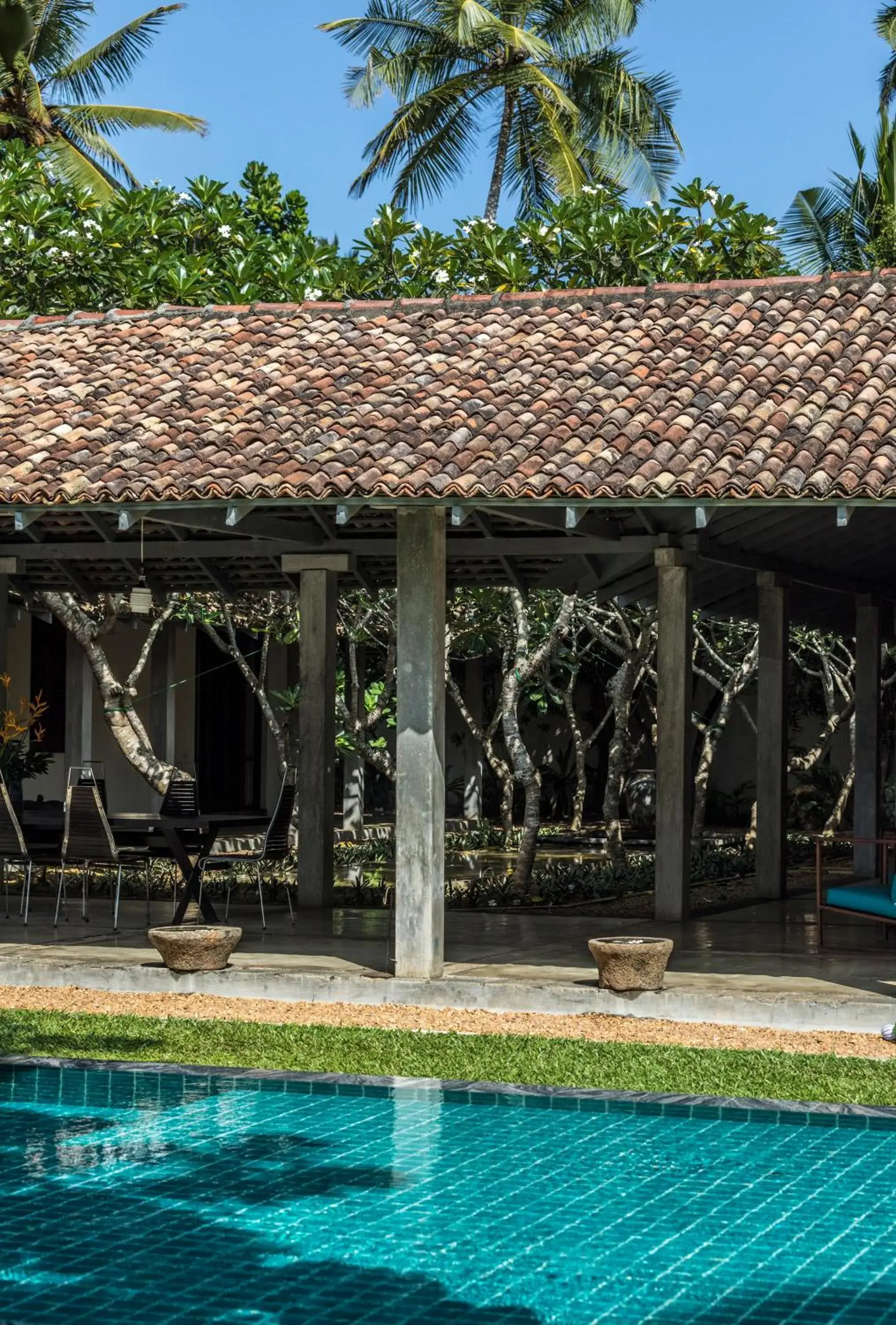 Restaurant/places to eat in The Frangipani Tree by Edwards Collection Restaurant/places to eat in The Frangipani Tree by Edwards Collection