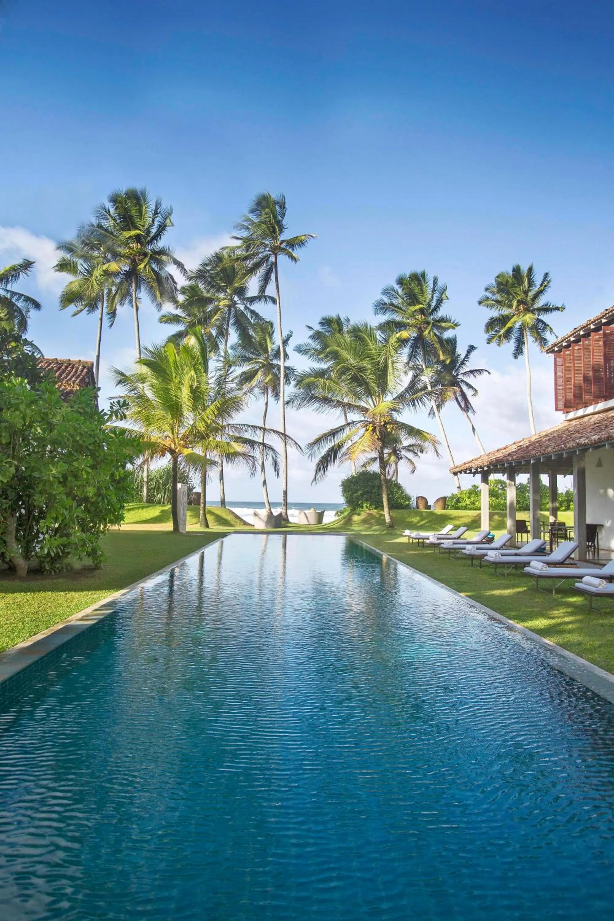 Pool view in The Frangipani Tree by Edwards Collection - Thalpe