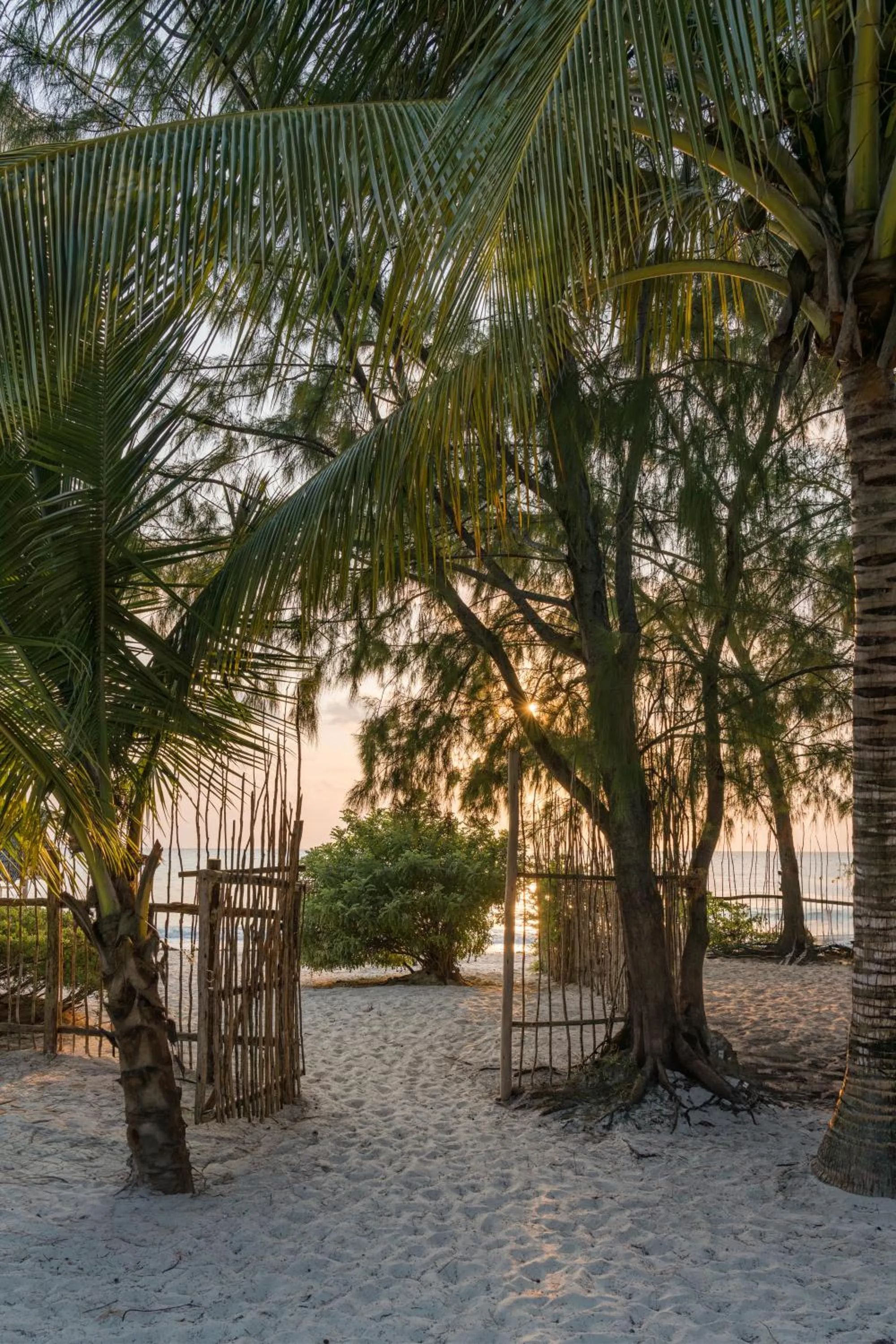 Beach in Mwezi Boutique Resort