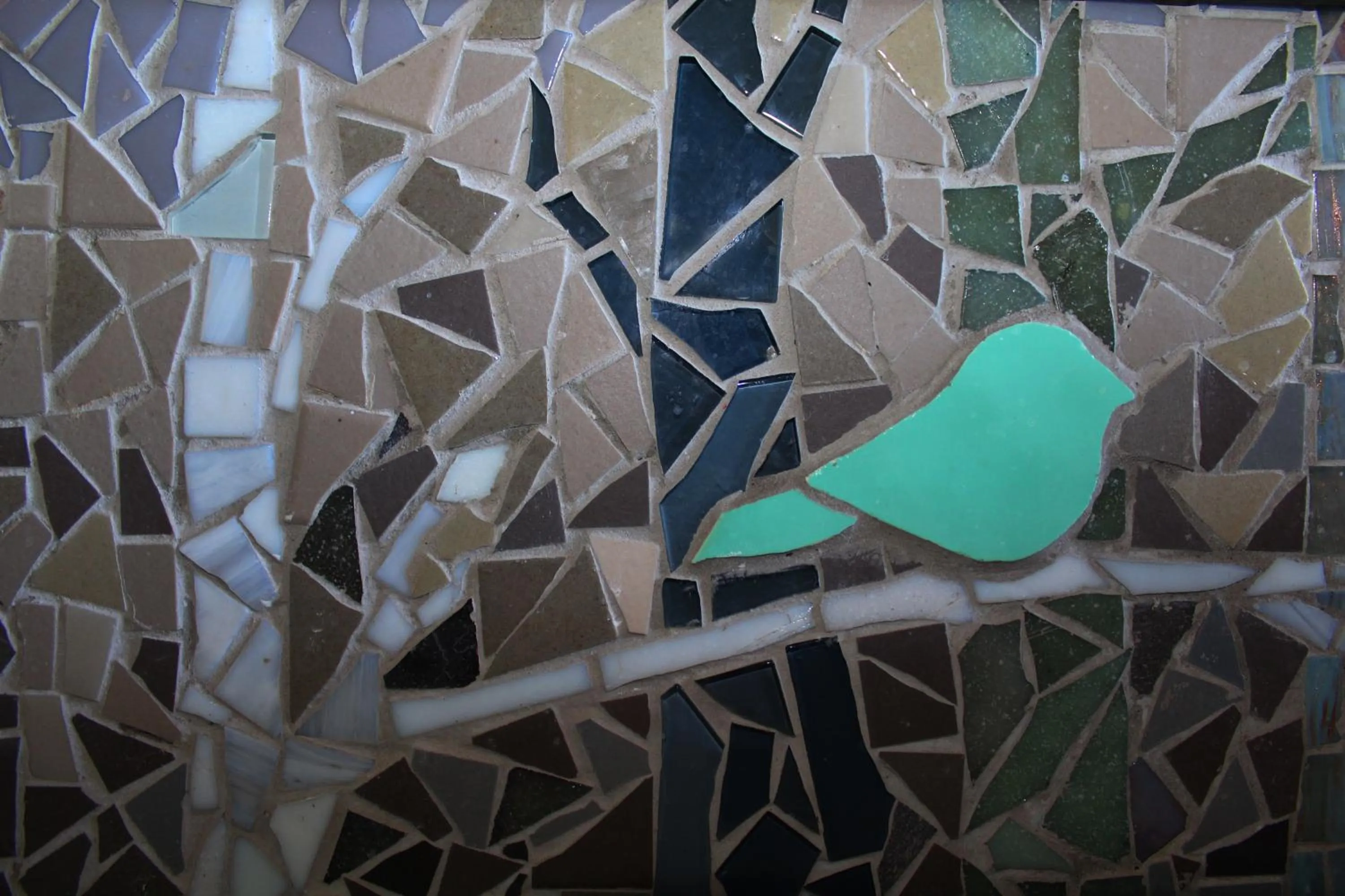 Shower in Bluebottle Guesthouse