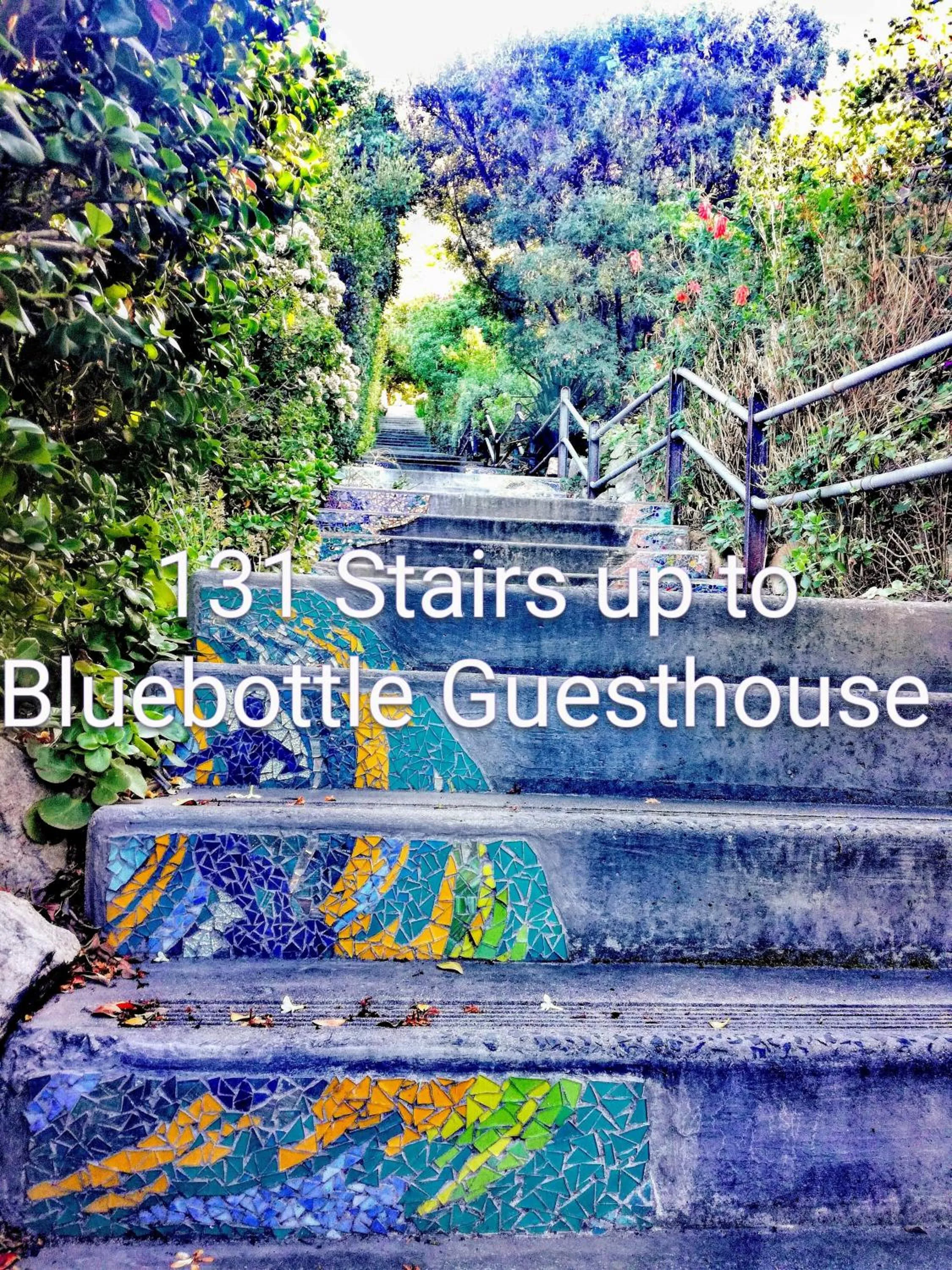 Street view in Bluebottle Guesthouse