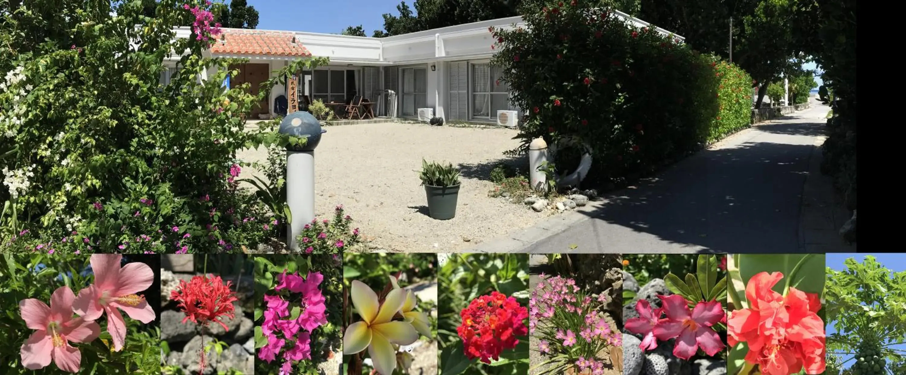 Facade/entrance in Minshuku Irayoi Facade/entrance in Minshuku Irayoi