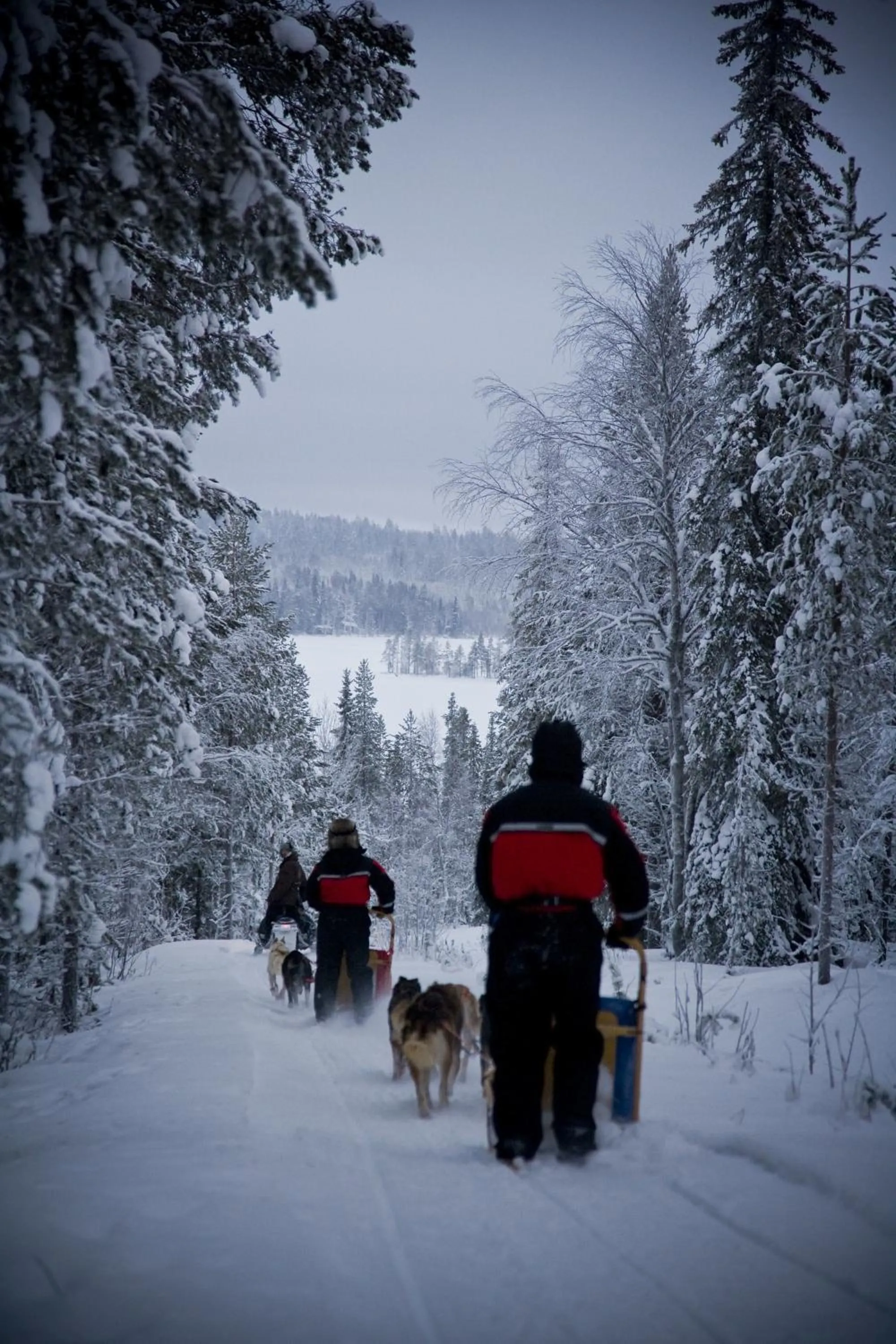 Activities in Beana Laponia - Wilderness boutique hotel with safaris