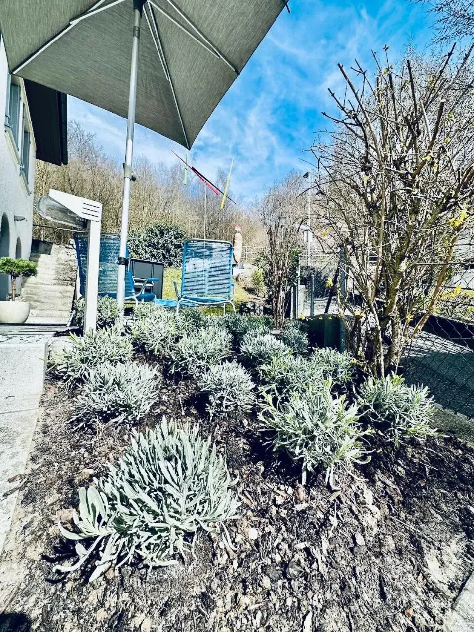 Double or Twin Room bnb1 - single occupancy in Bed Bike and Breakfast Olten Double or Twin Room bnb1 - single occupancy in Bed Bike and Breakfast Olten