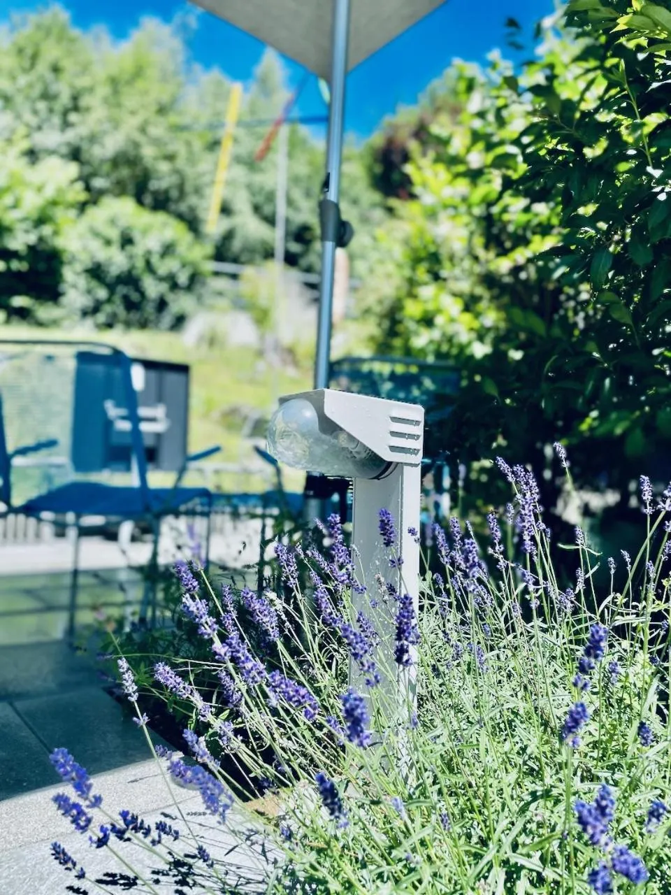 Garden in Bed Bike and Breakfast Olten