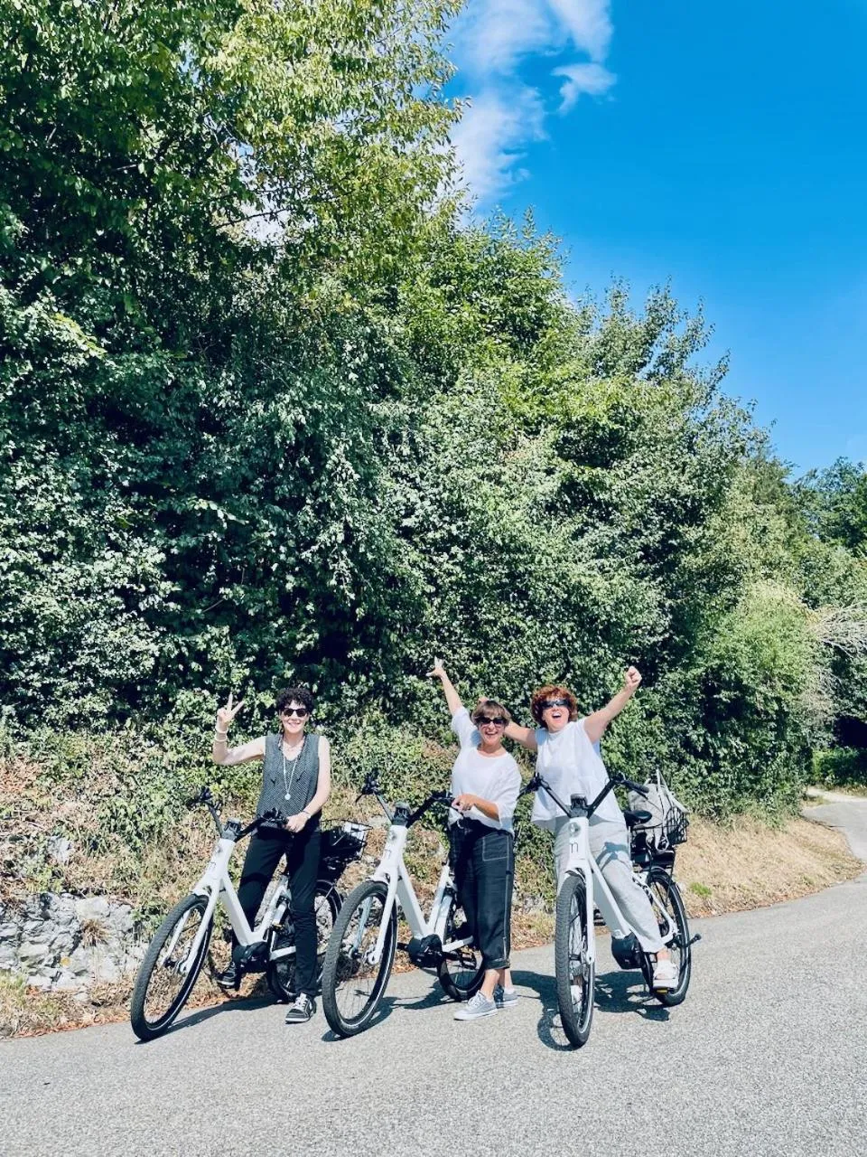 Day in Bed Bike and Breakfast Olten