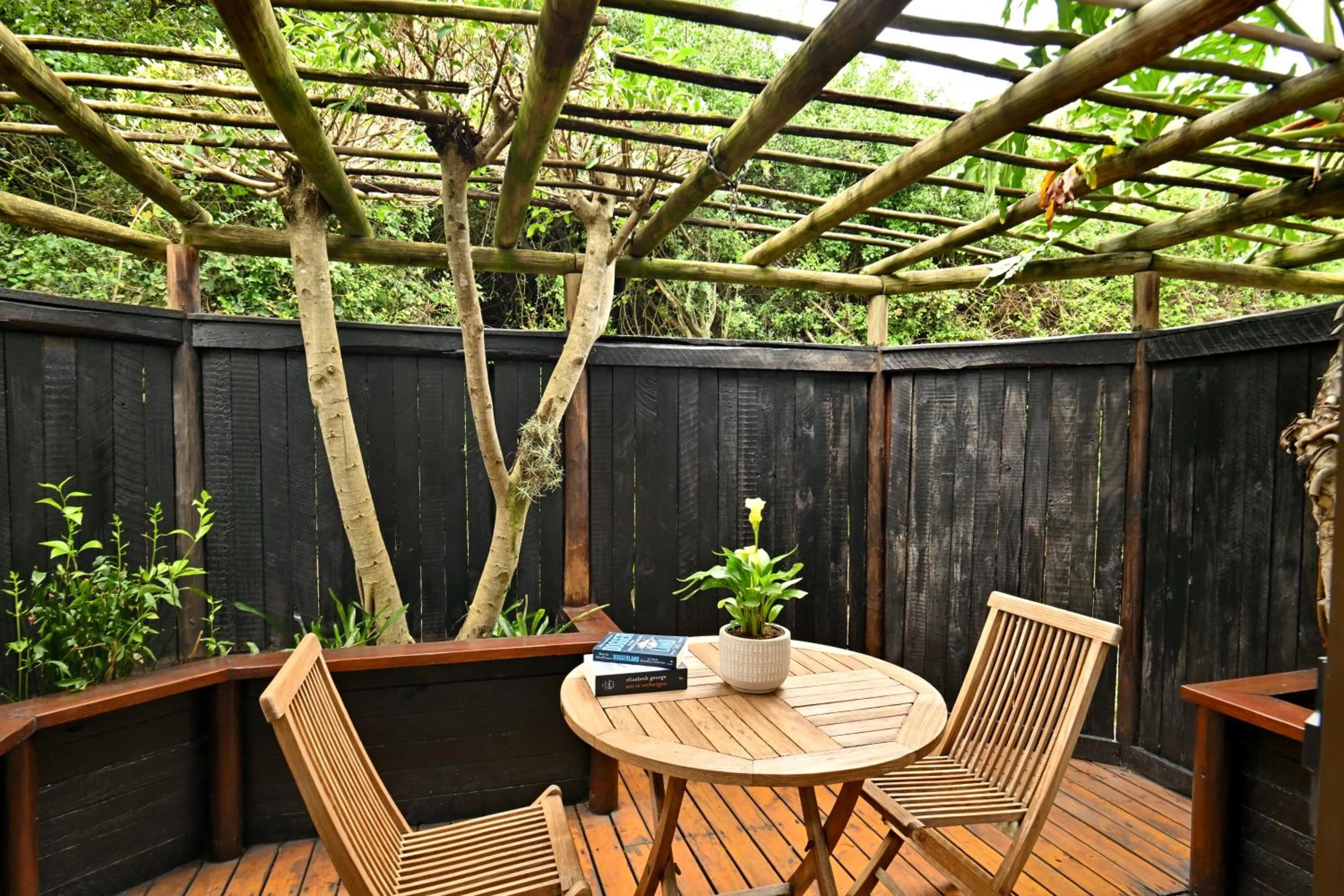 Patio in BonBini Guest House