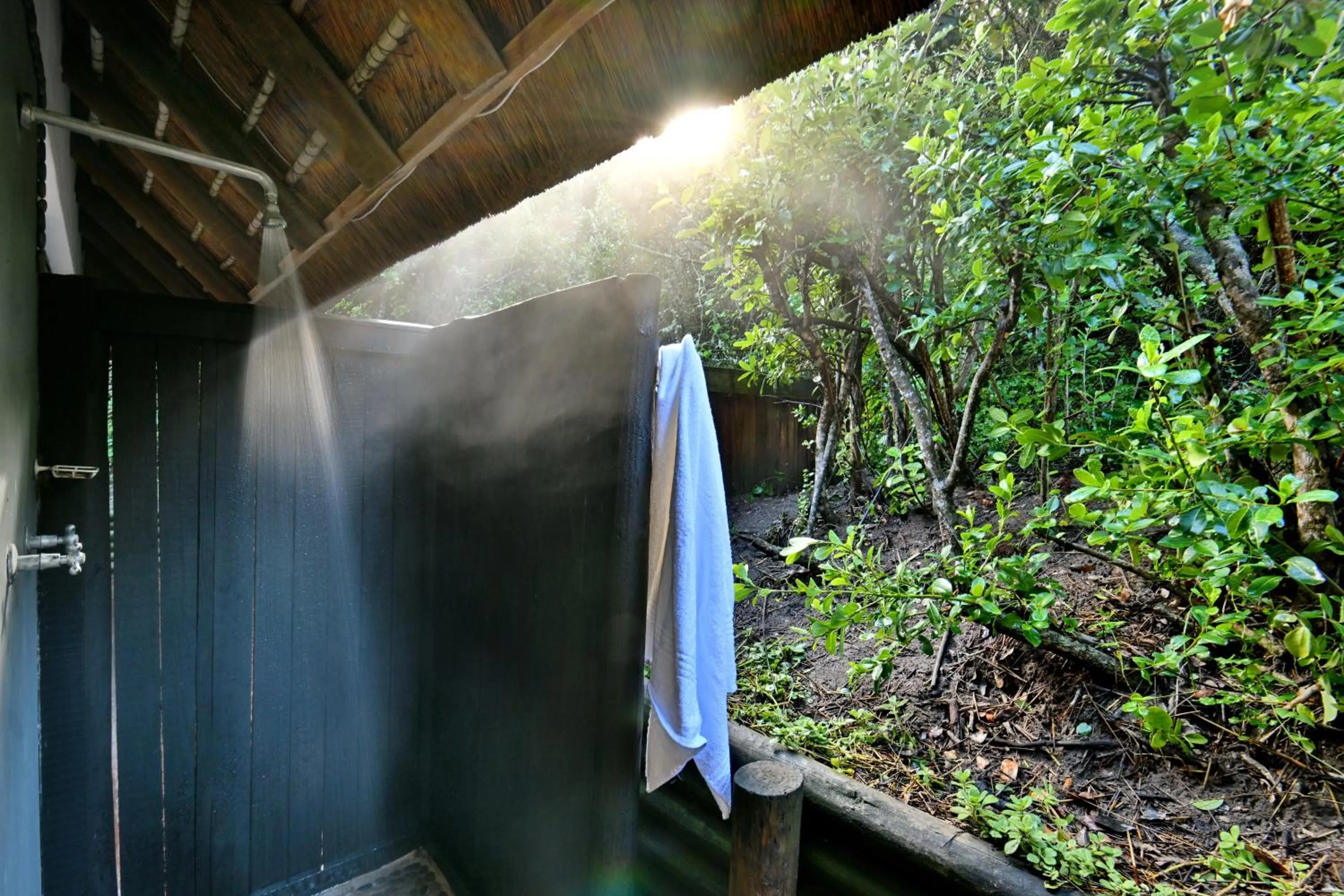 Shower in BonBini Guest House