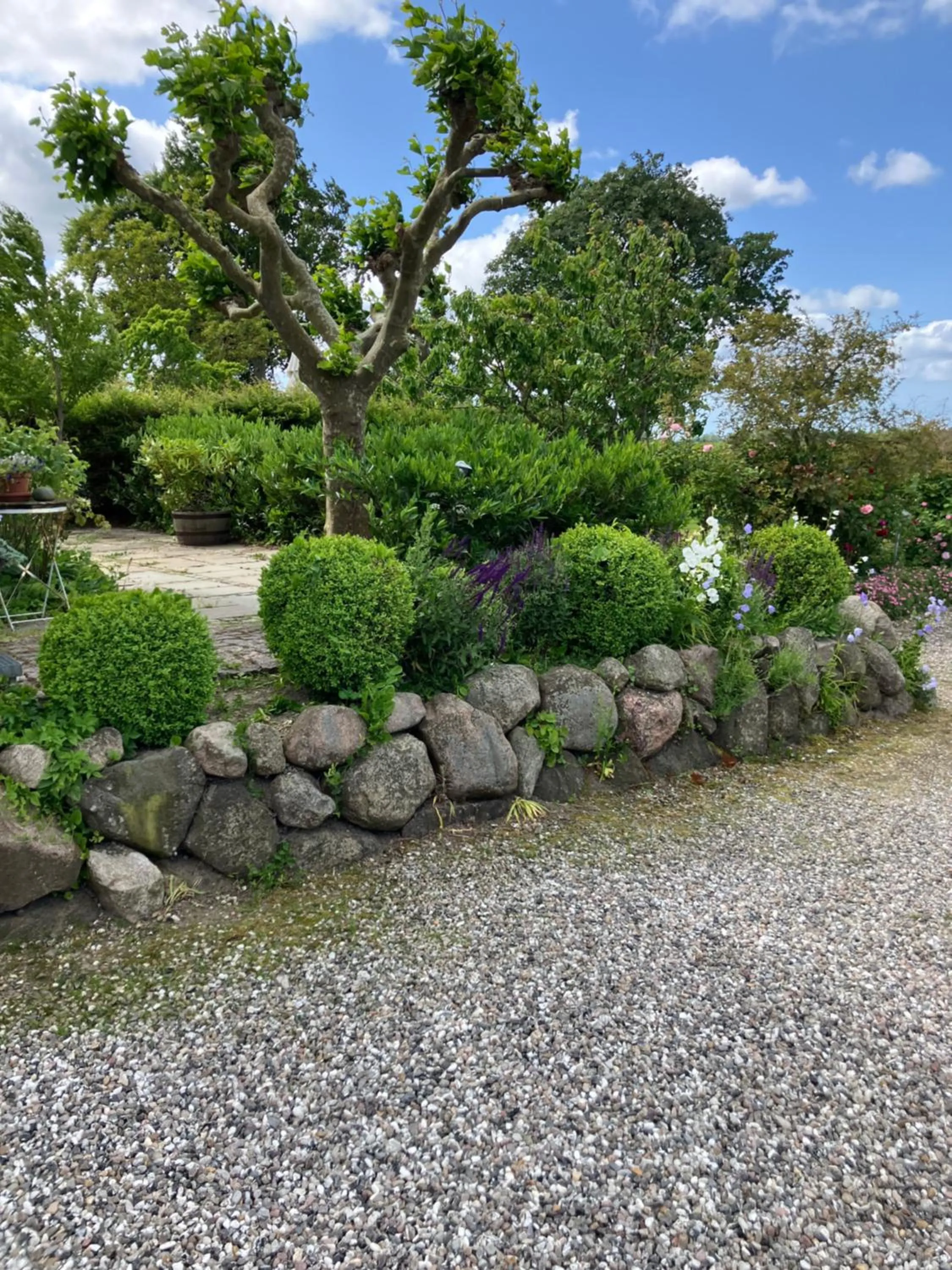 Marielyst B&B - Apartments