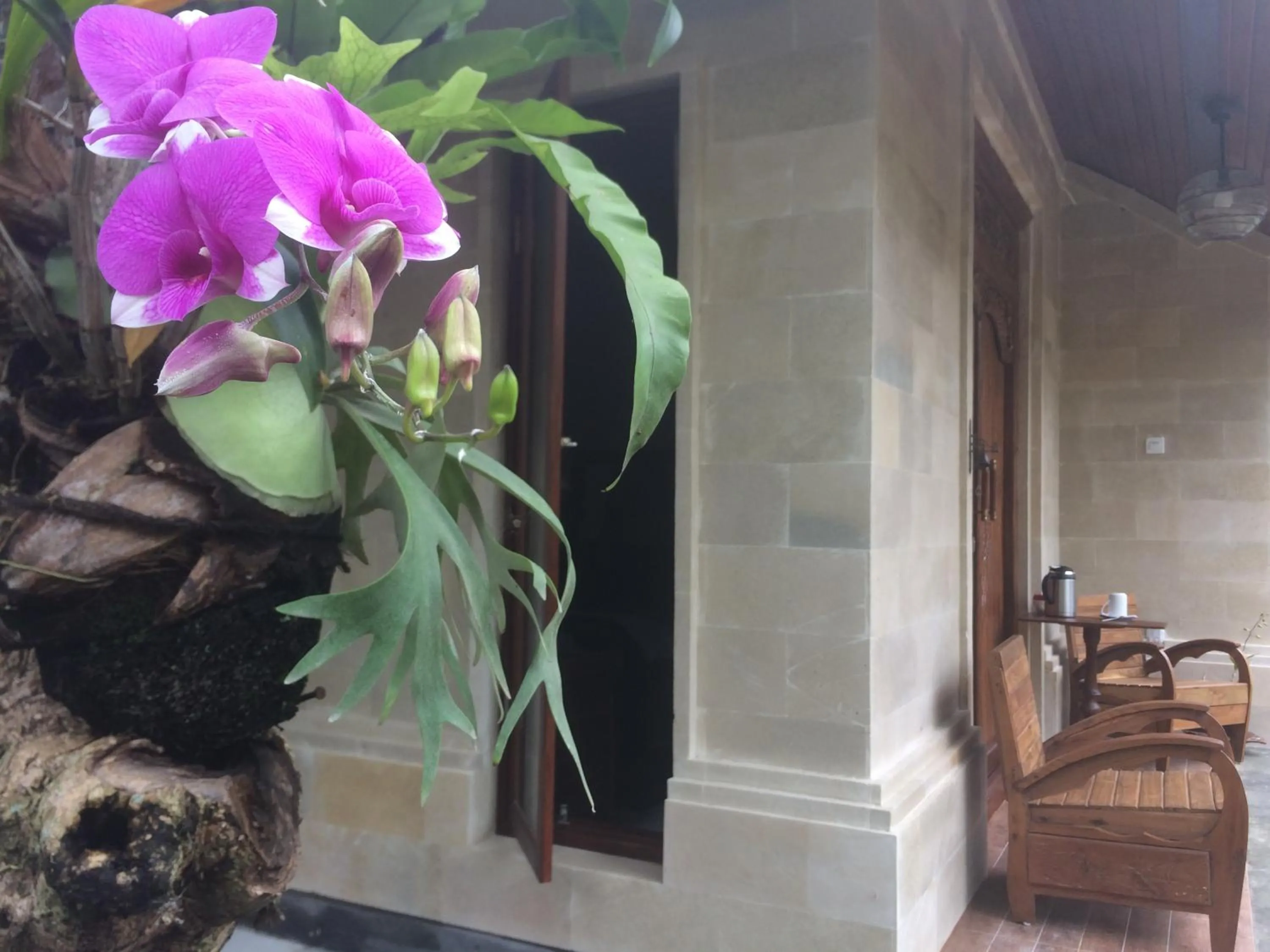 Property building in Ubud Rooms B&B