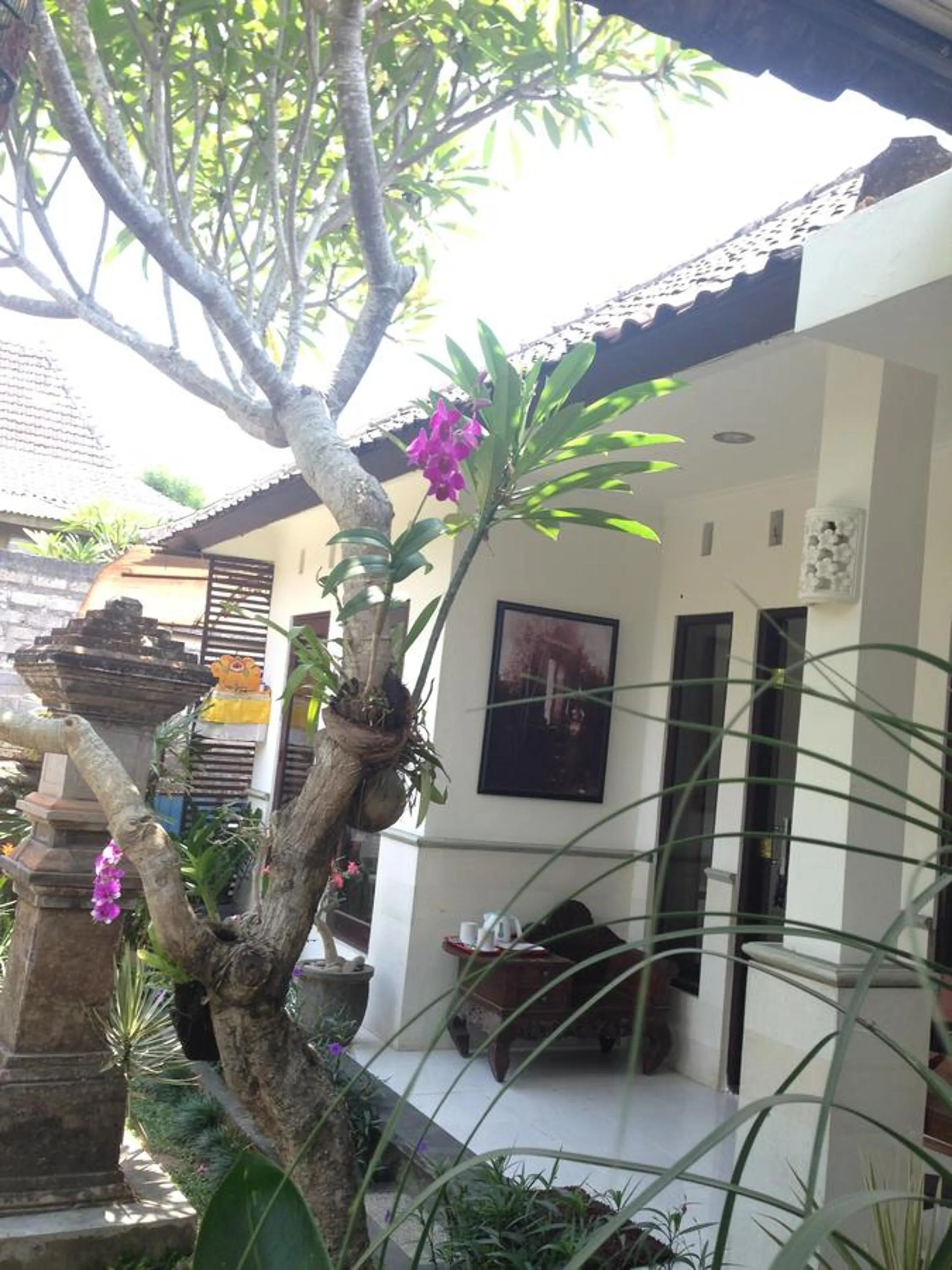 Day in Ubud Rooms B&B