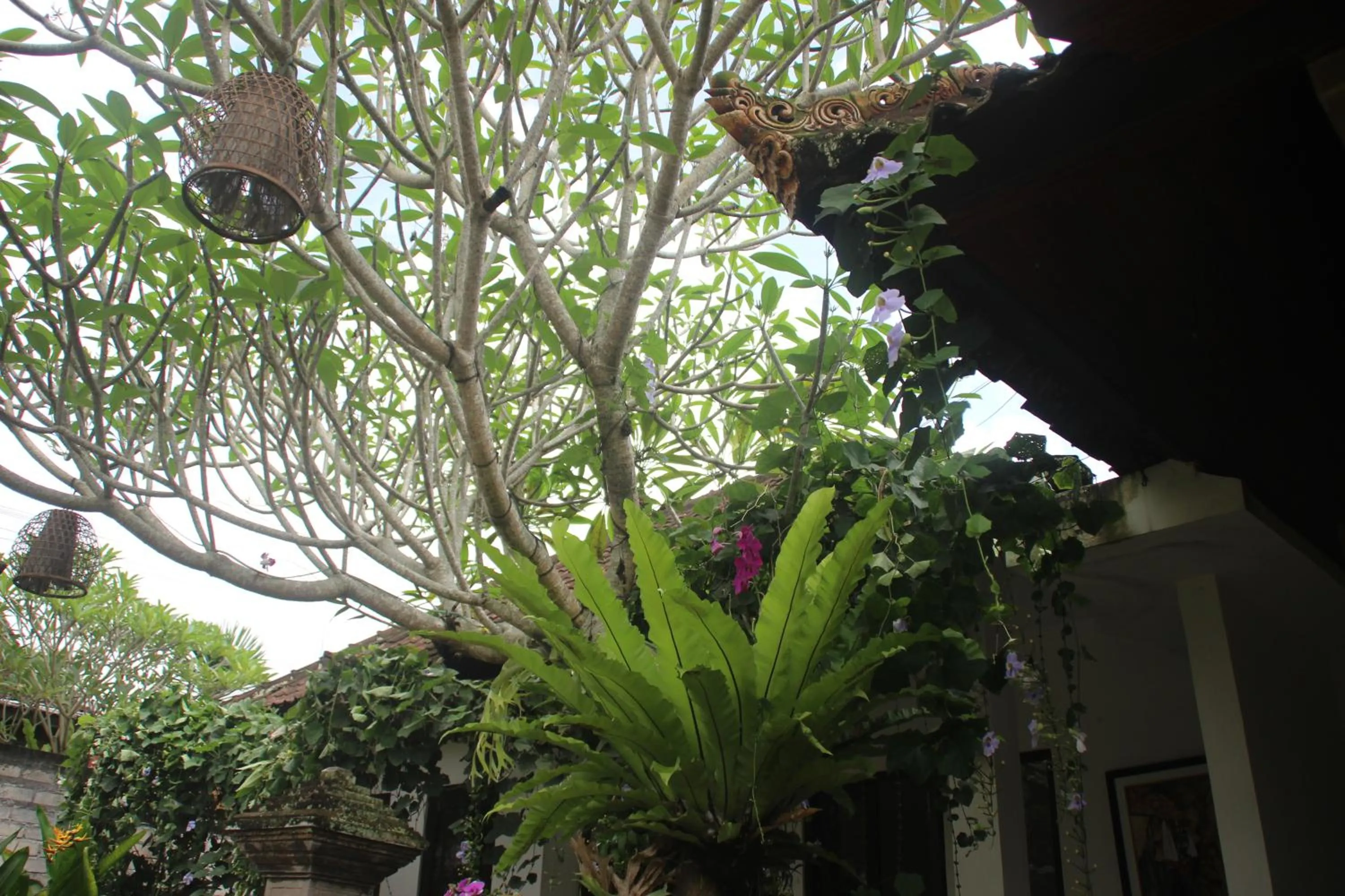 Seating area in Ubud Rooms B&B