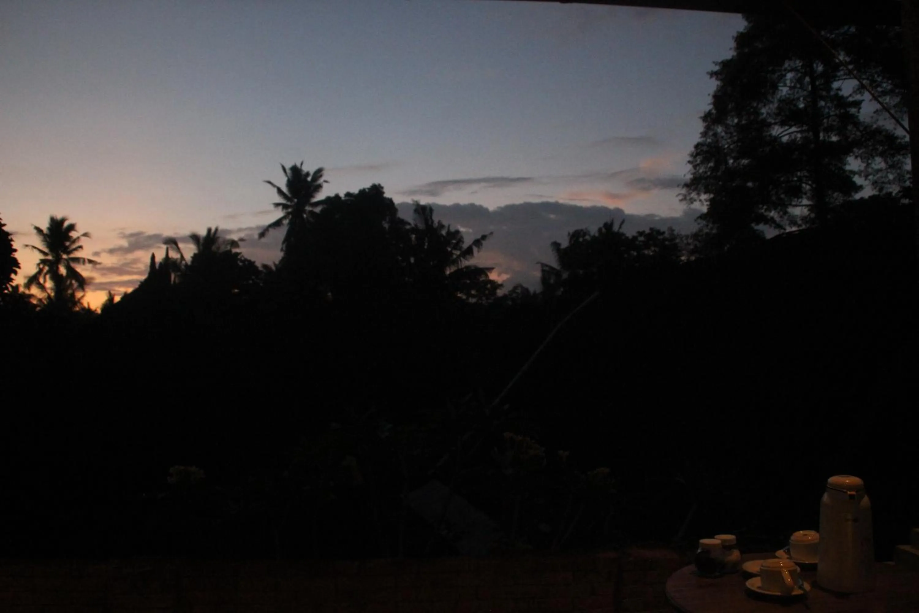 Summer in Ubud Rooms B&B