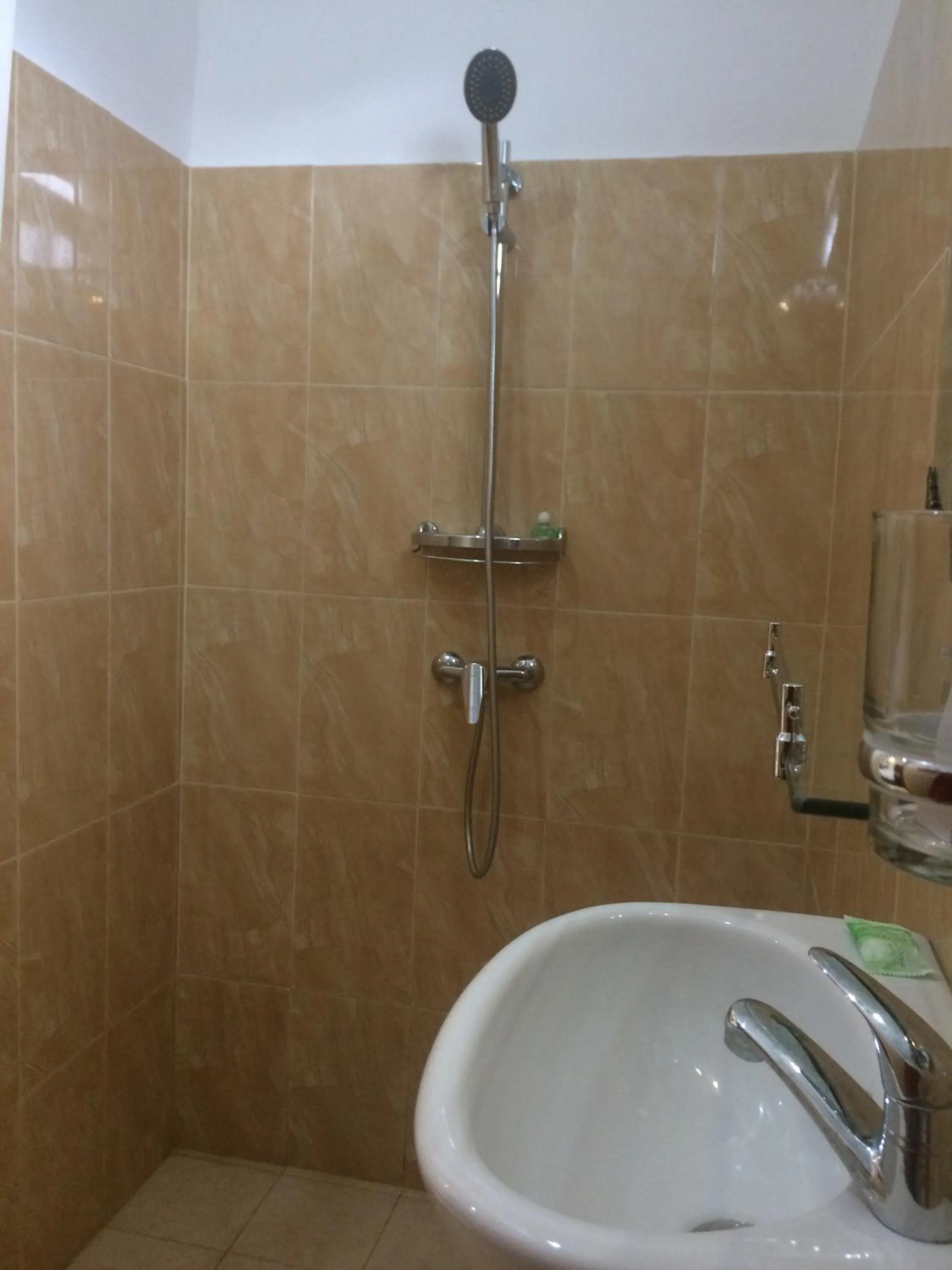 Shower in Ubud Rooms B&B