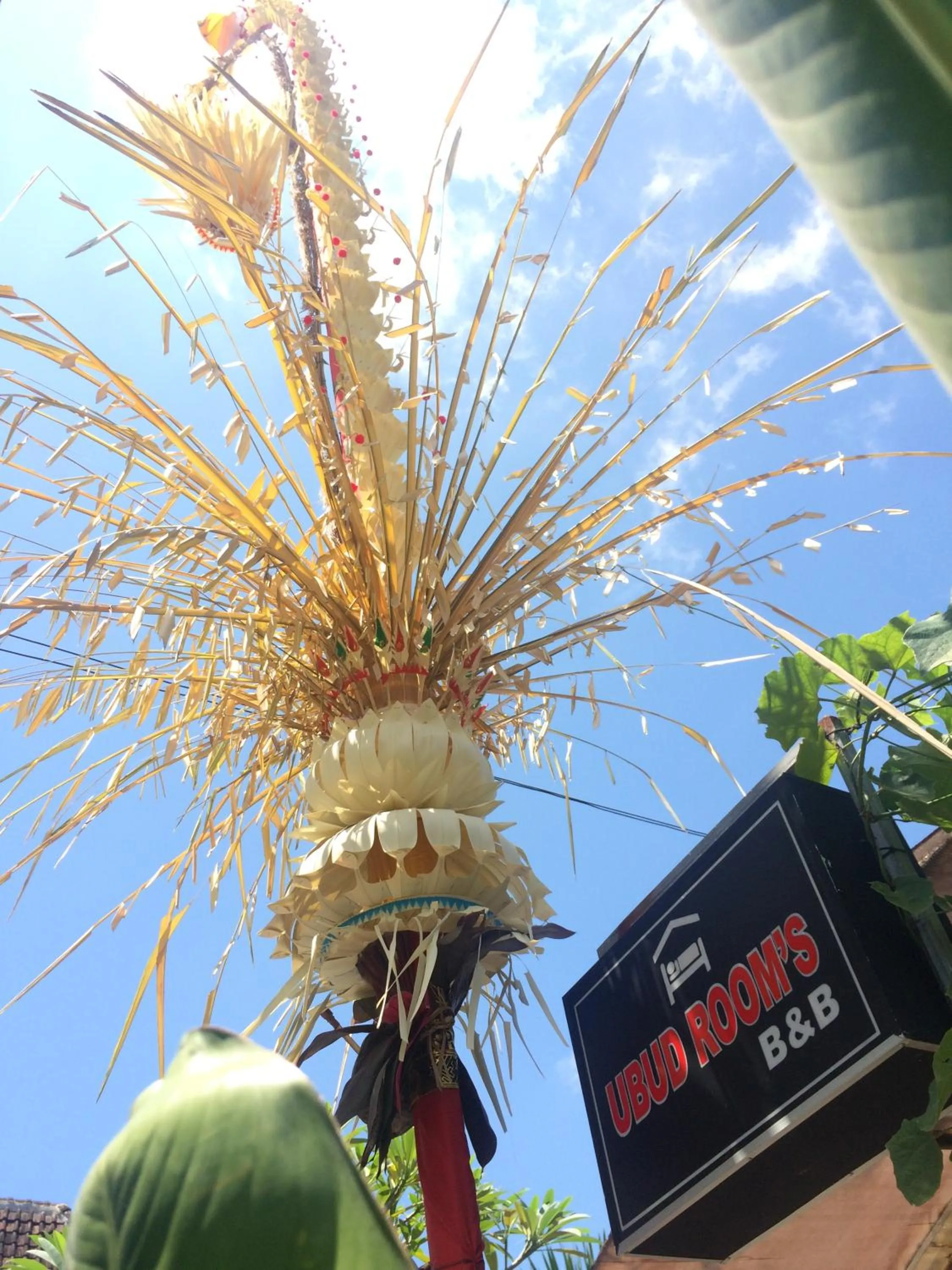 Day in Ubud Rooms B&B